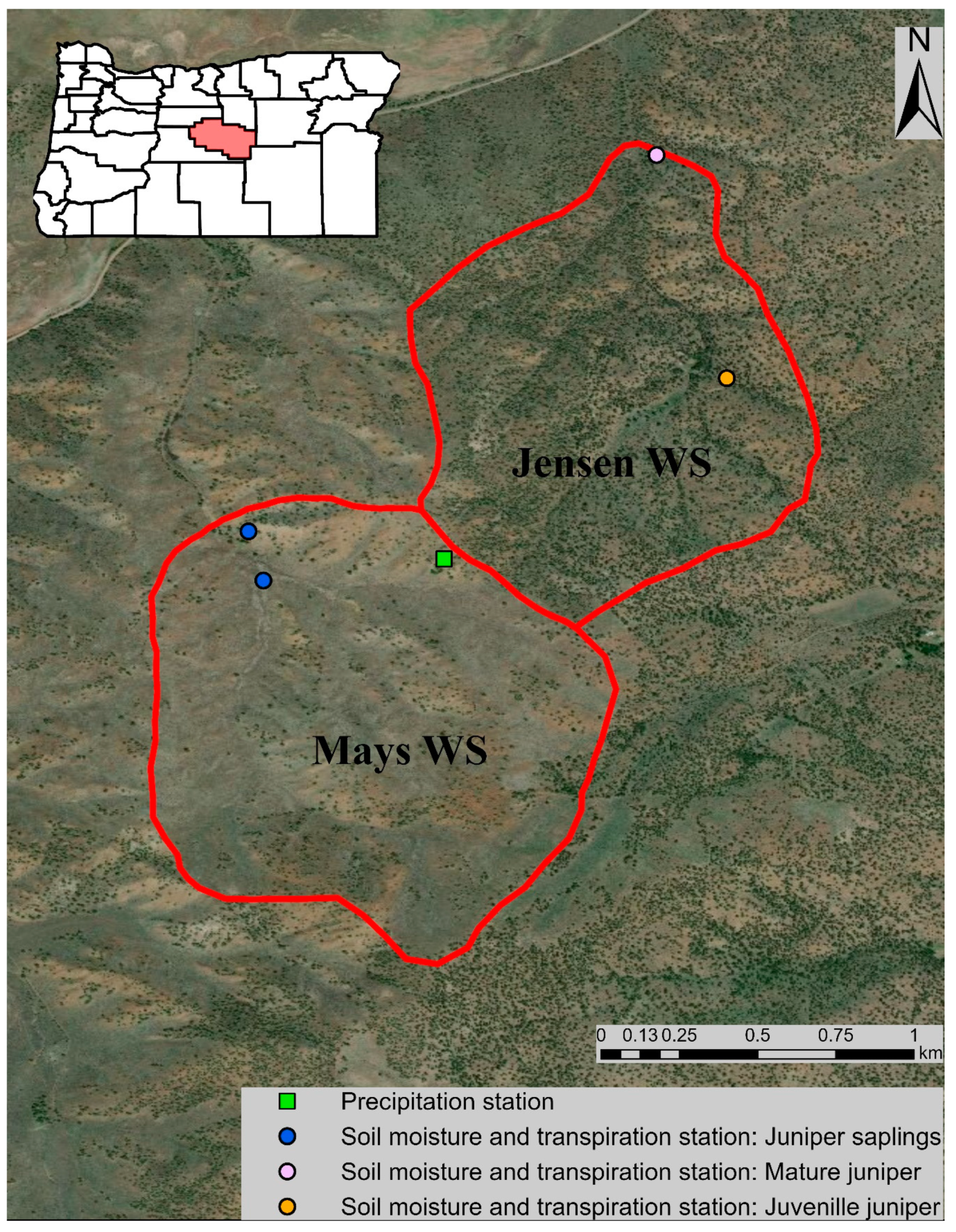 Water 12 01596 g001 Water 12 01596 g001