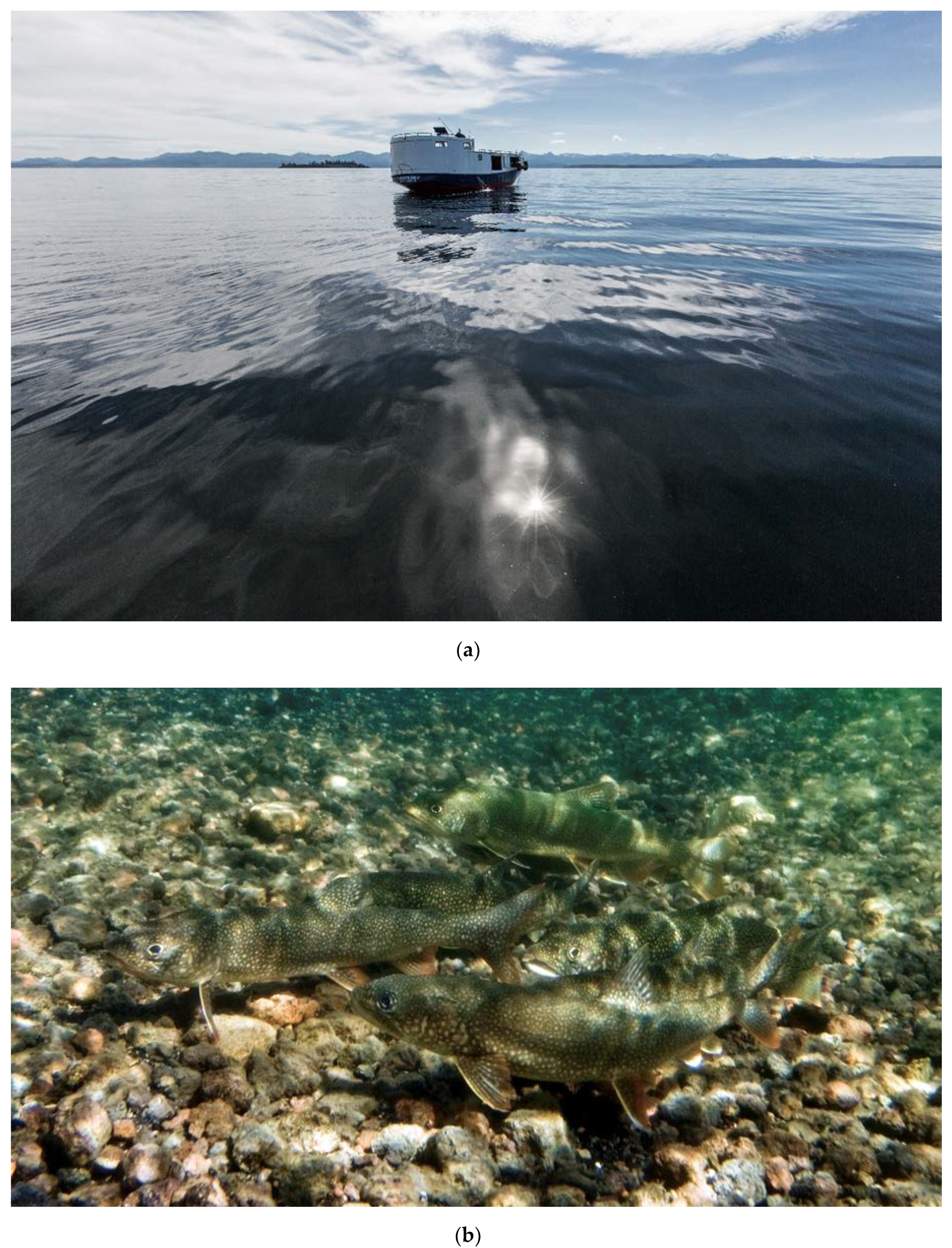 Water 12 01629 g0a3 Water 12 01629 g0a3