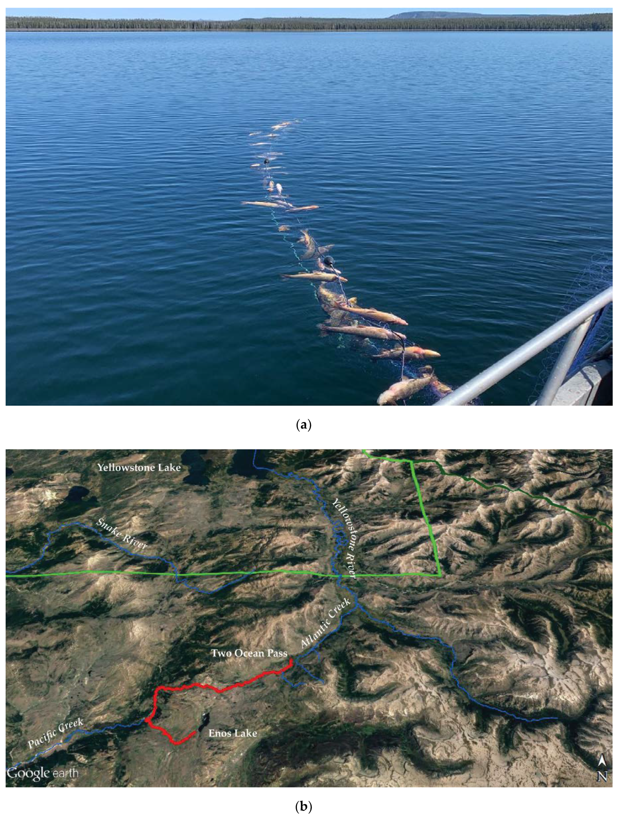 Water 12 01629 g0a5 Water 12 01629 g0a5