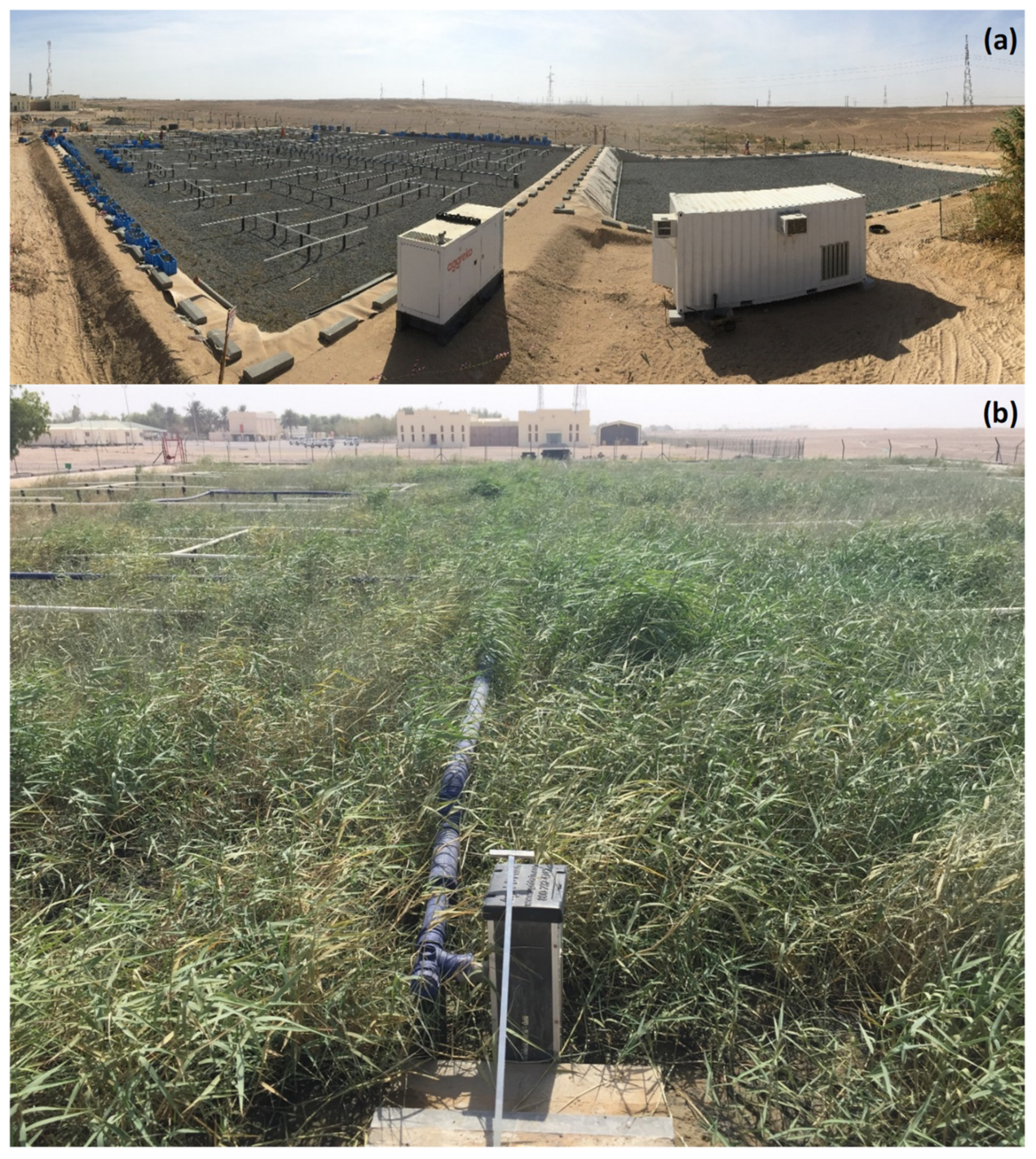 Water Free Full Text Constructed Wetlands For Sustainable Wastewater Treatment In Hot And Arid Climates Opportunities Challenges And Case Studies In The Middle East Html