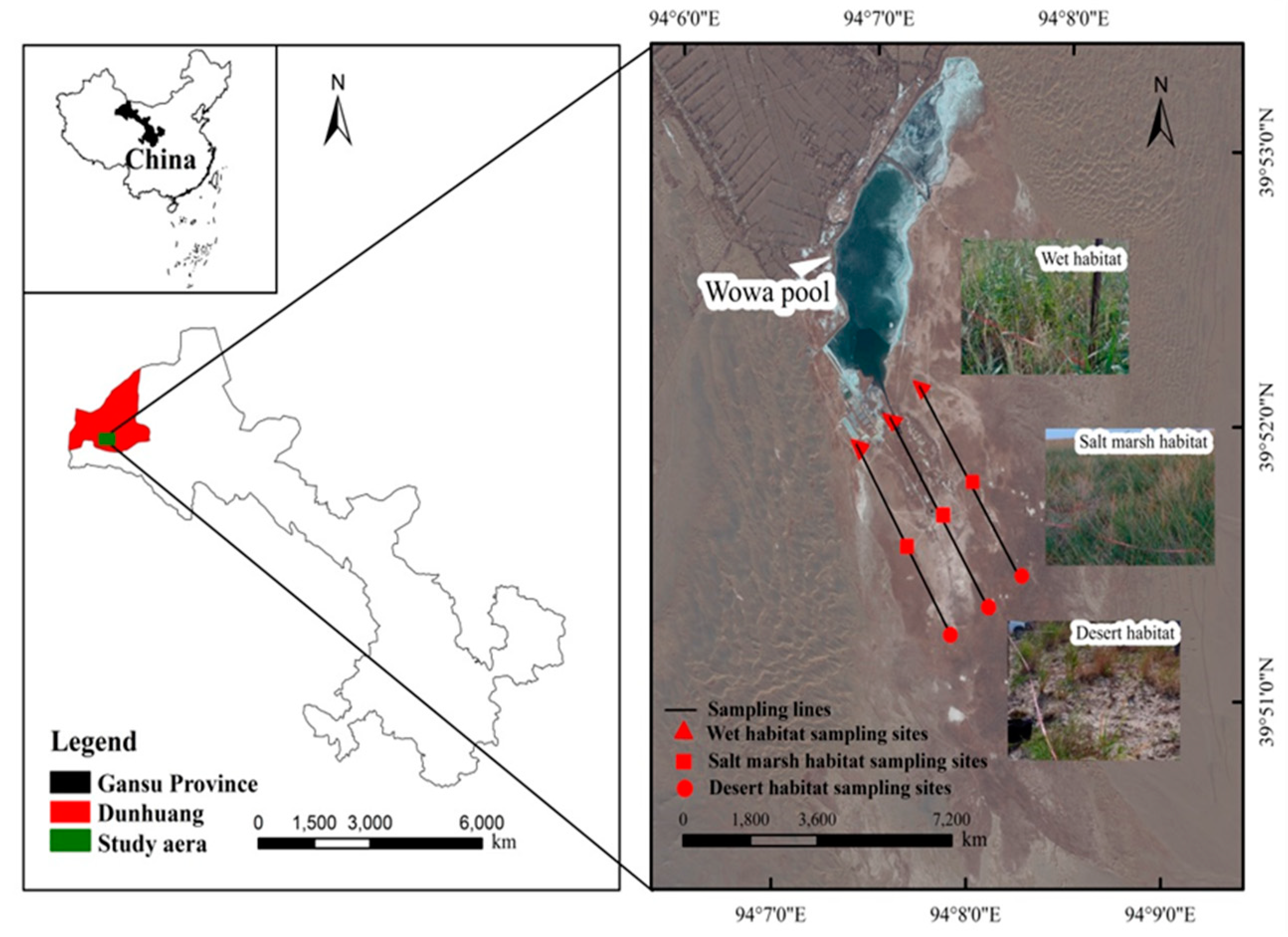 Water 12 01700 g001 Water 12 01700 g001