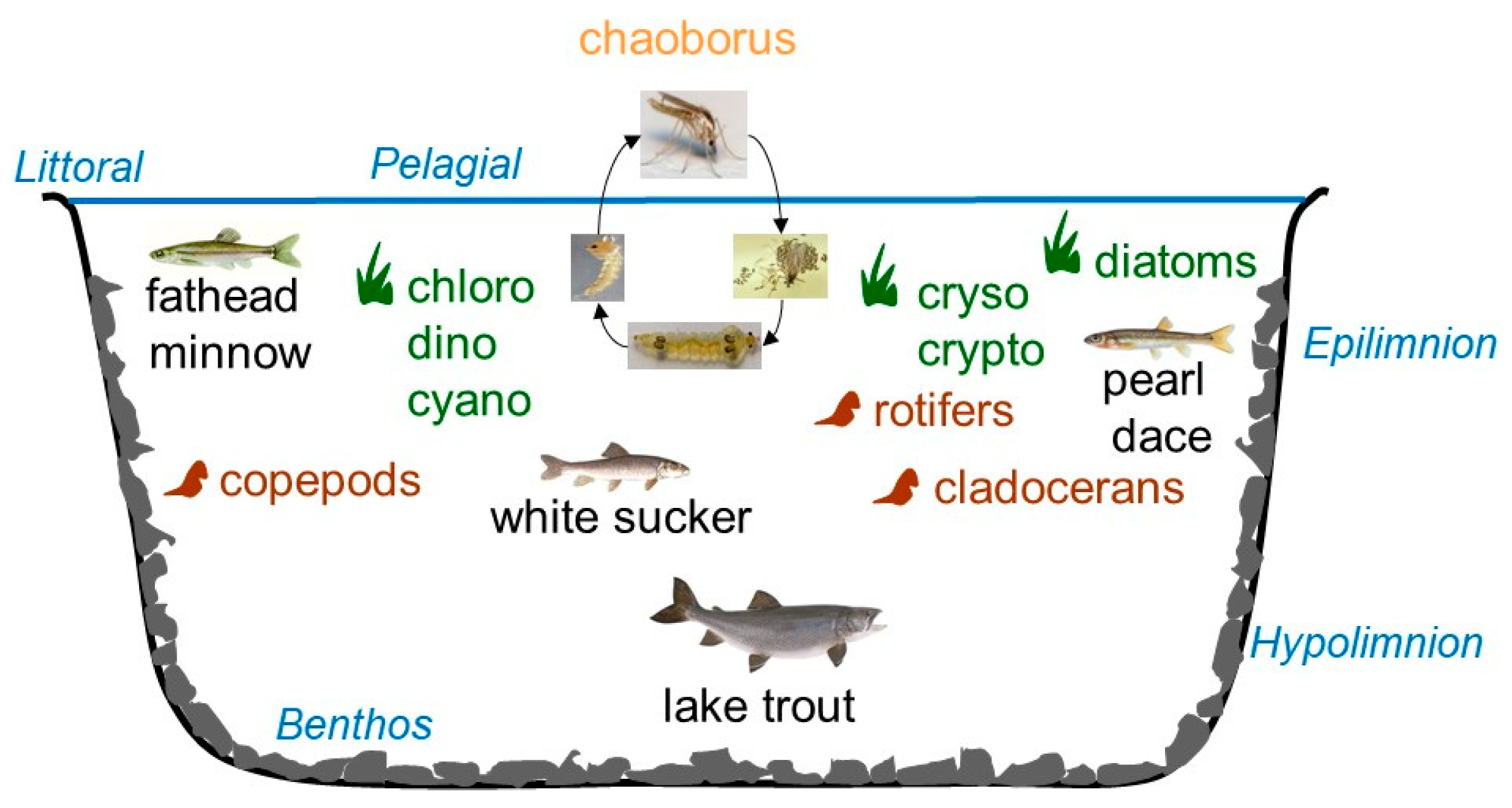 Water 12 01736 g001 Water 12 01736 g001