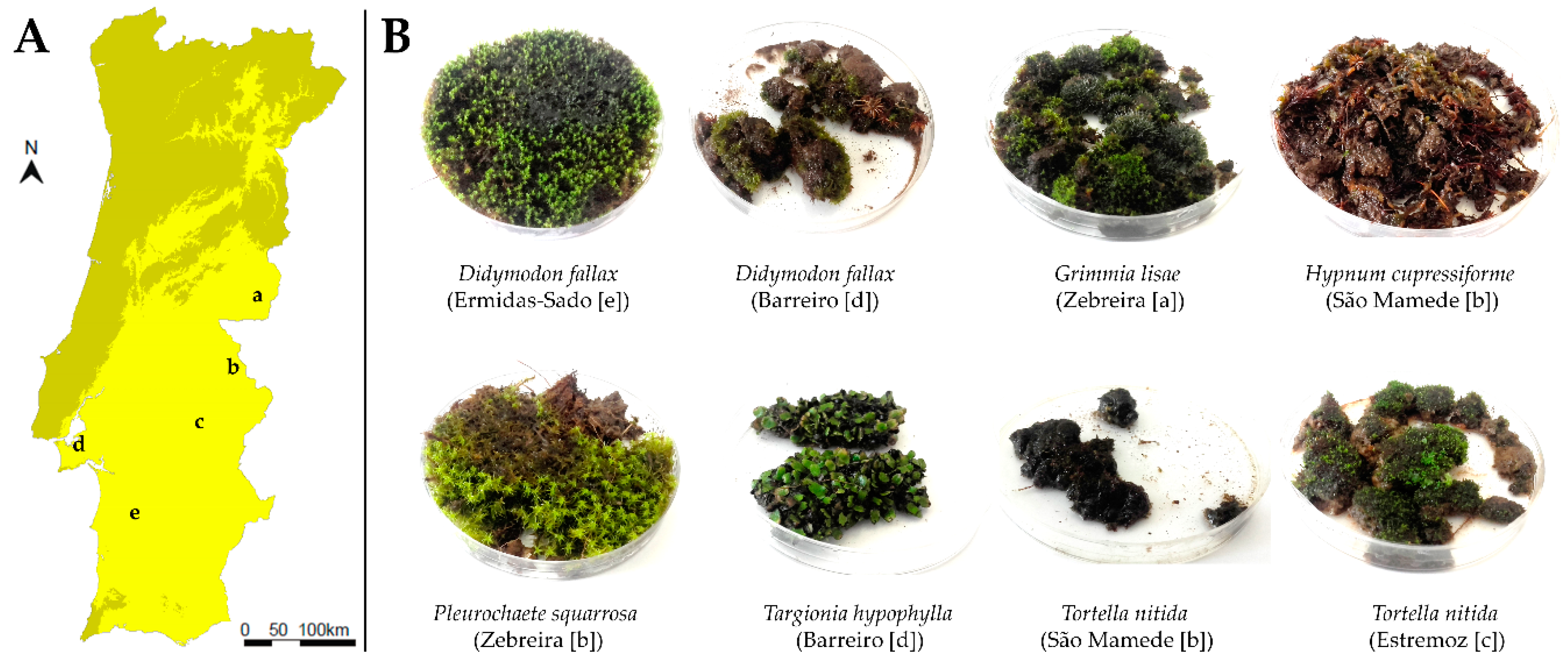 Water 12 01748 g001 Water 12 01748 g001