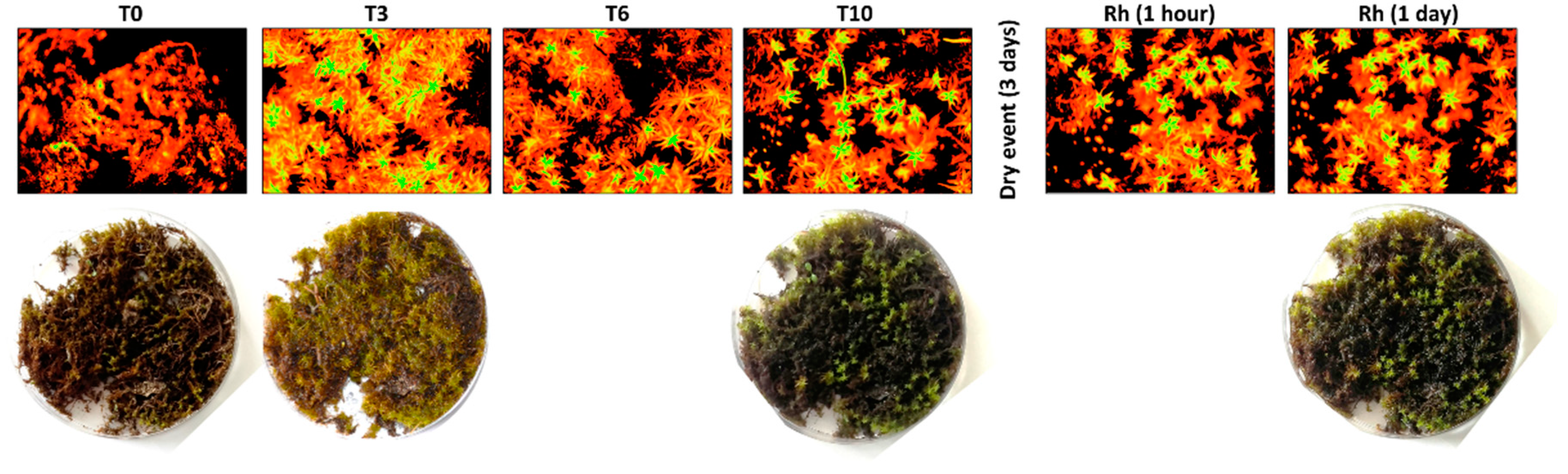 Water 12 01748 g002 Water 12 01748 g002