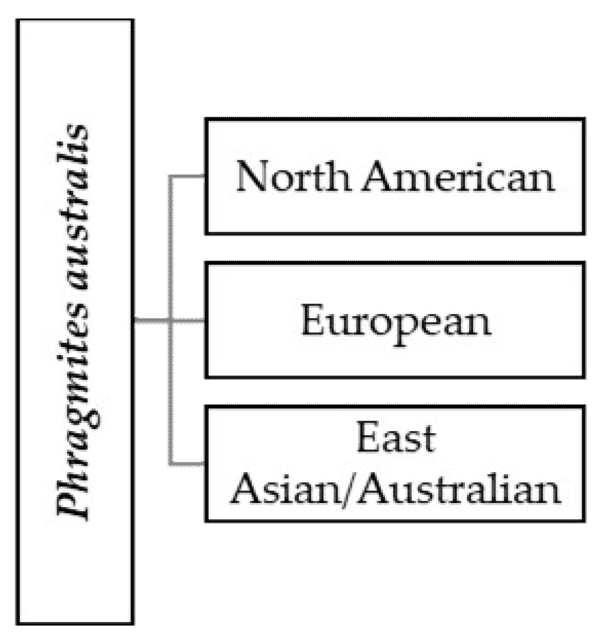 Water 12 01770 g001 Water 12 01770 g001