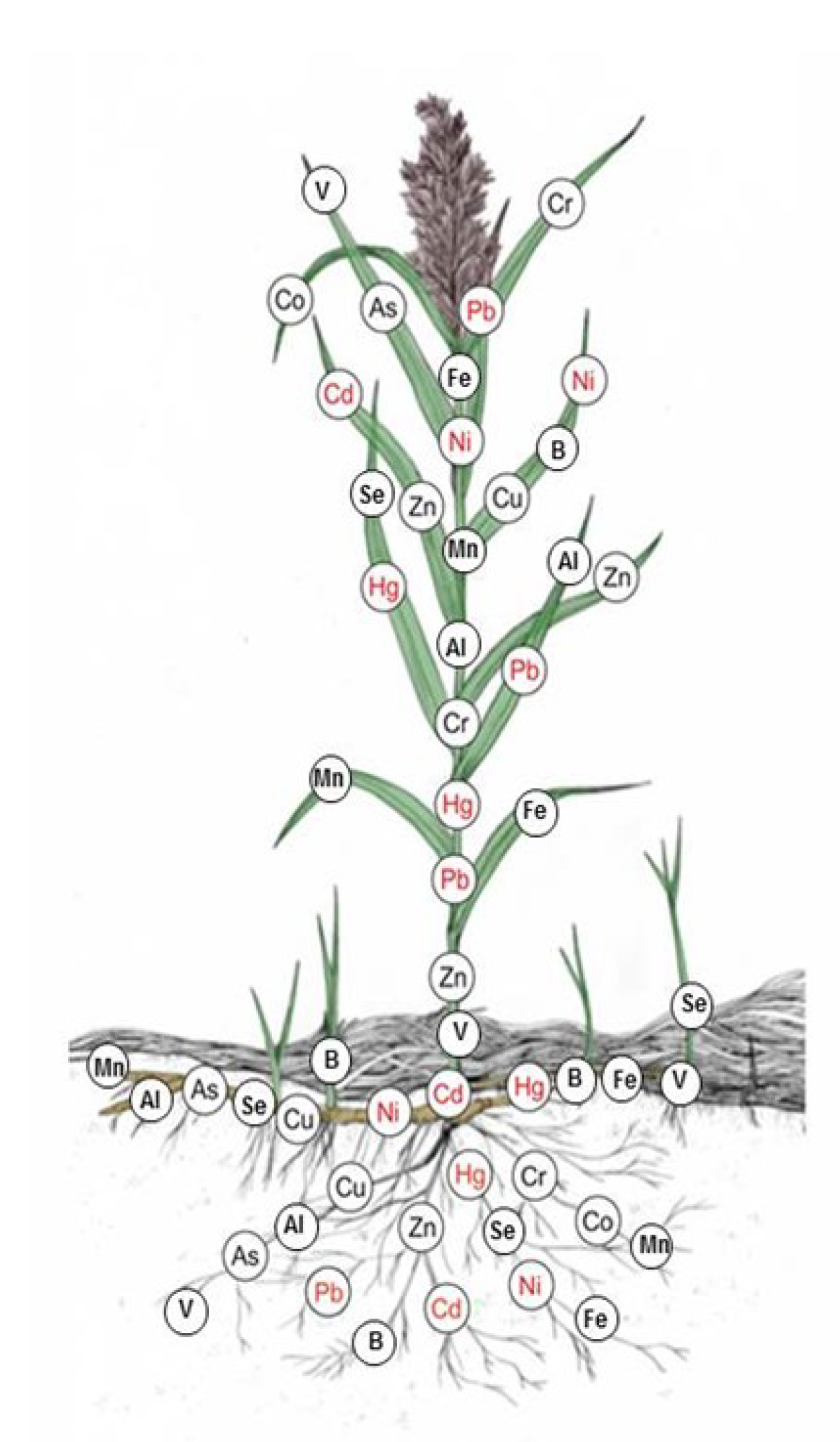 Water 12 01770 g003 Water 12 01770 g003