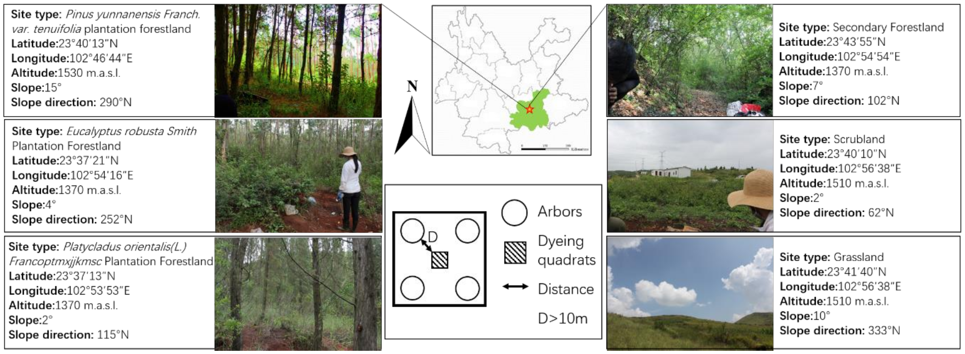 Water 12 01778 g001 Water 12 01778 g001