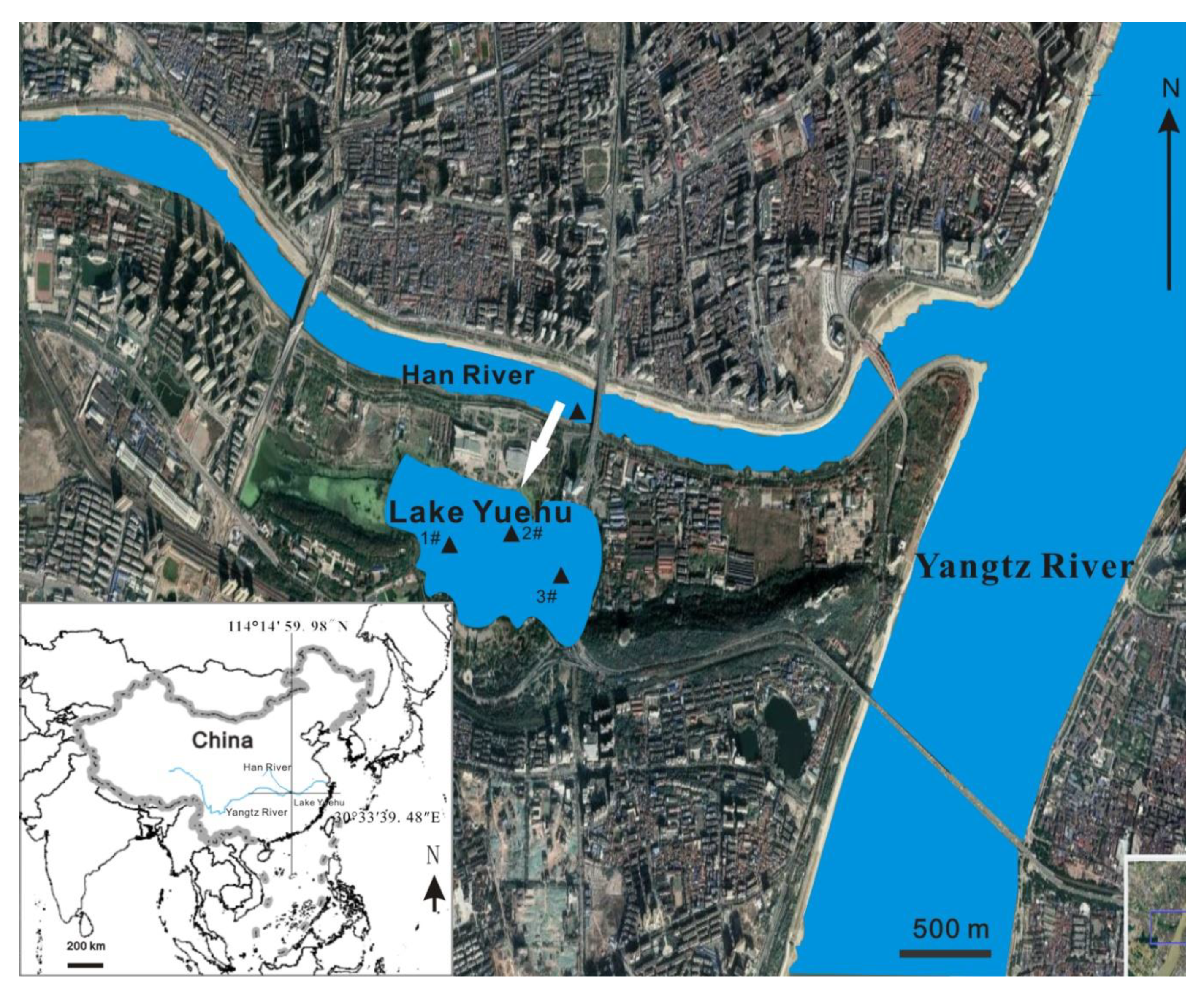 Water 12 01811 g001 Water 12 01811 g001