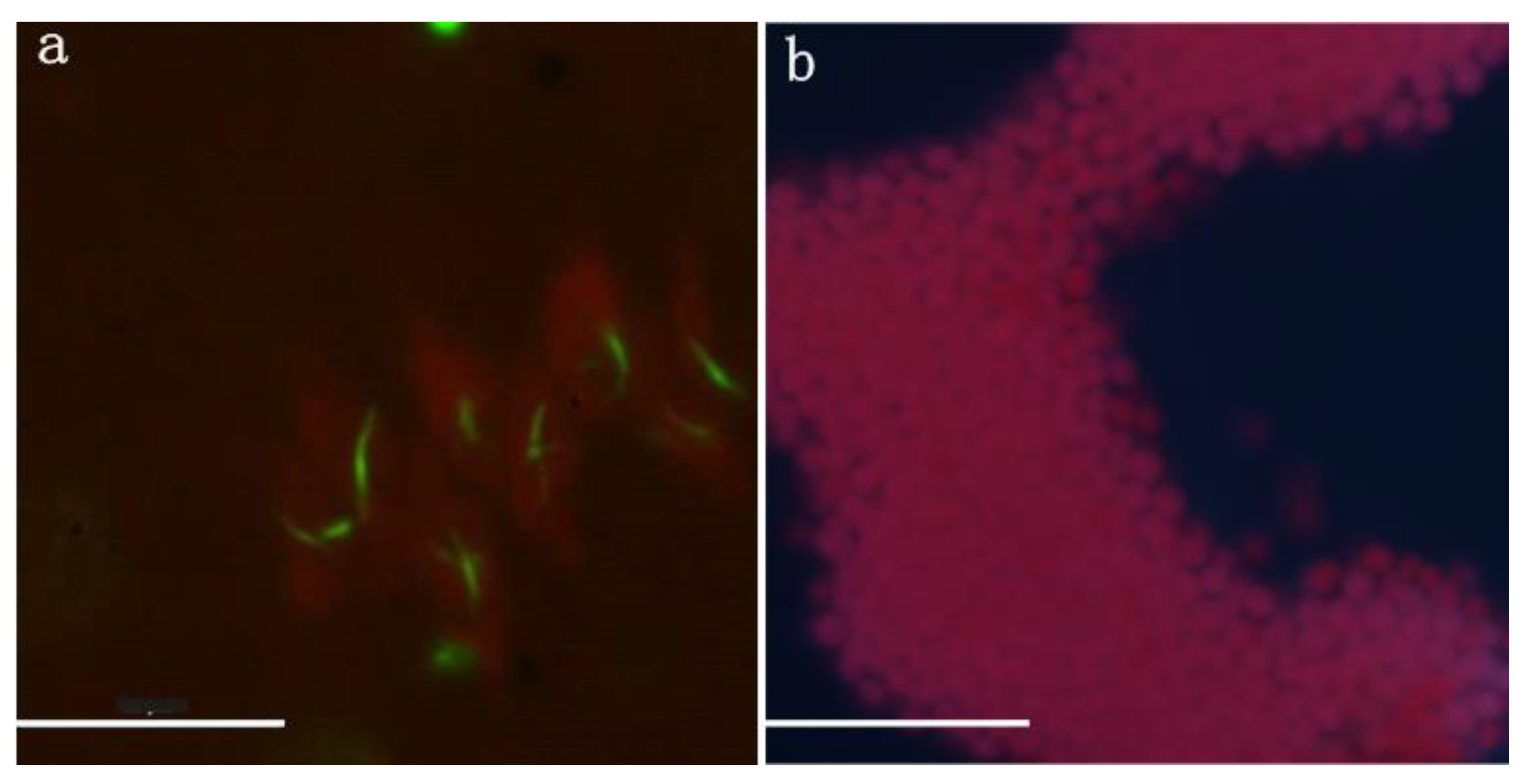 Water 12 01811 g006 Water 12 01811 g006