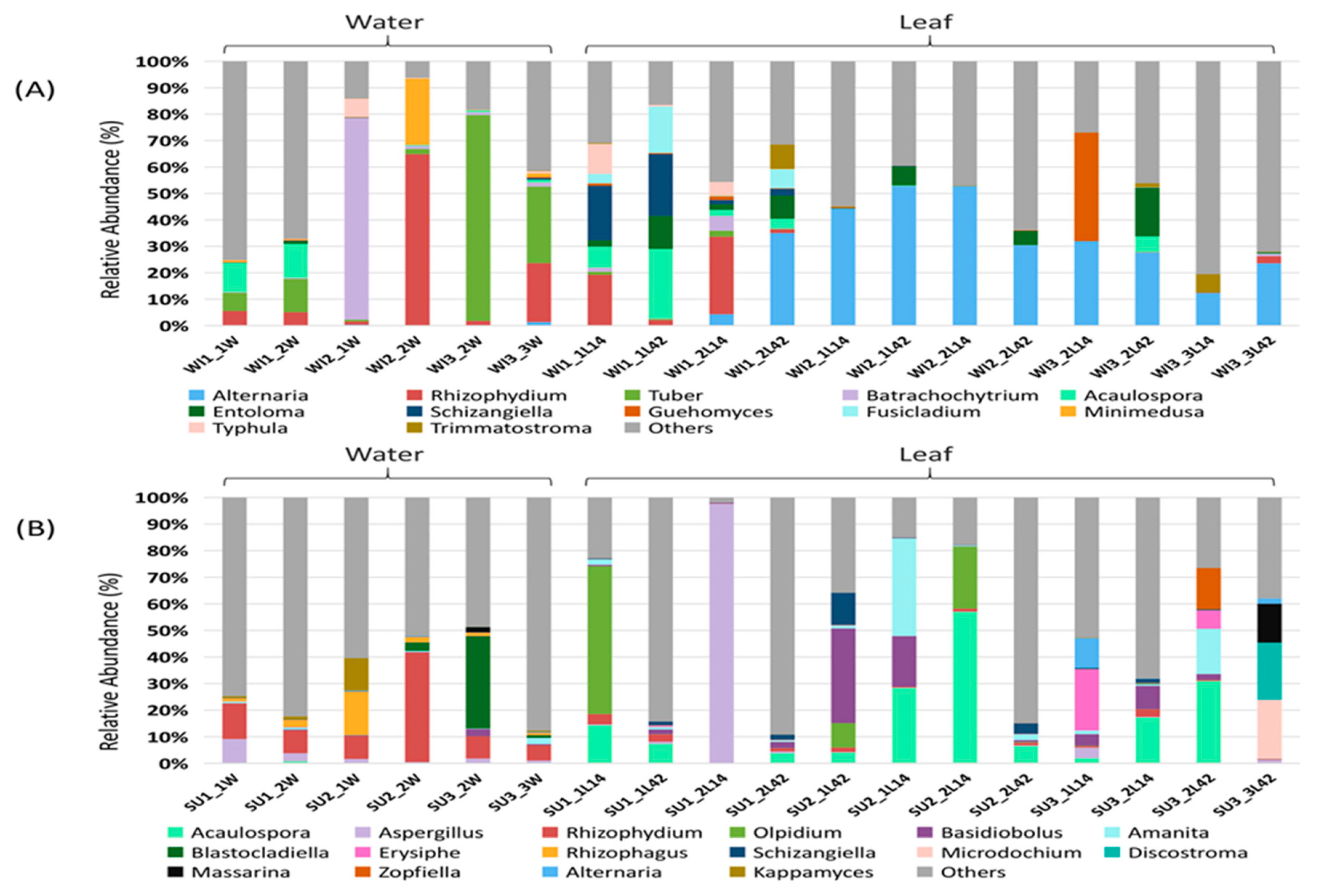 Water 12 01917 g004 Water 12 01917 g004