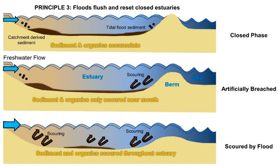 Water Free Full Text Ten Principles To Determine Environmental Flow Requirements For Temporarily Closed Estuaries Html Closed Estuaries, What Is A Perched Water Table Quizlet
