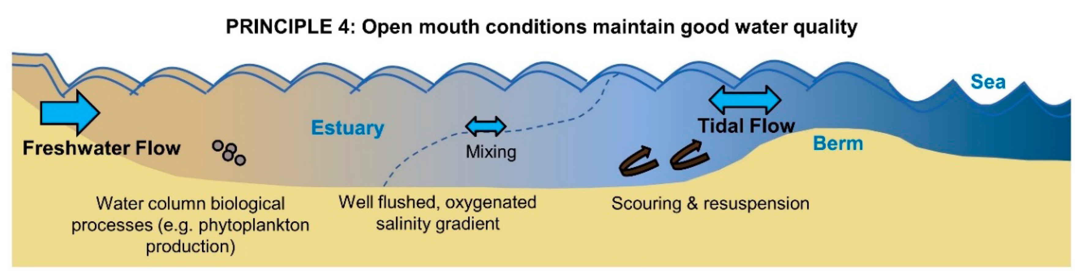 Water 12 01944 g008 Water 12 01944 g008