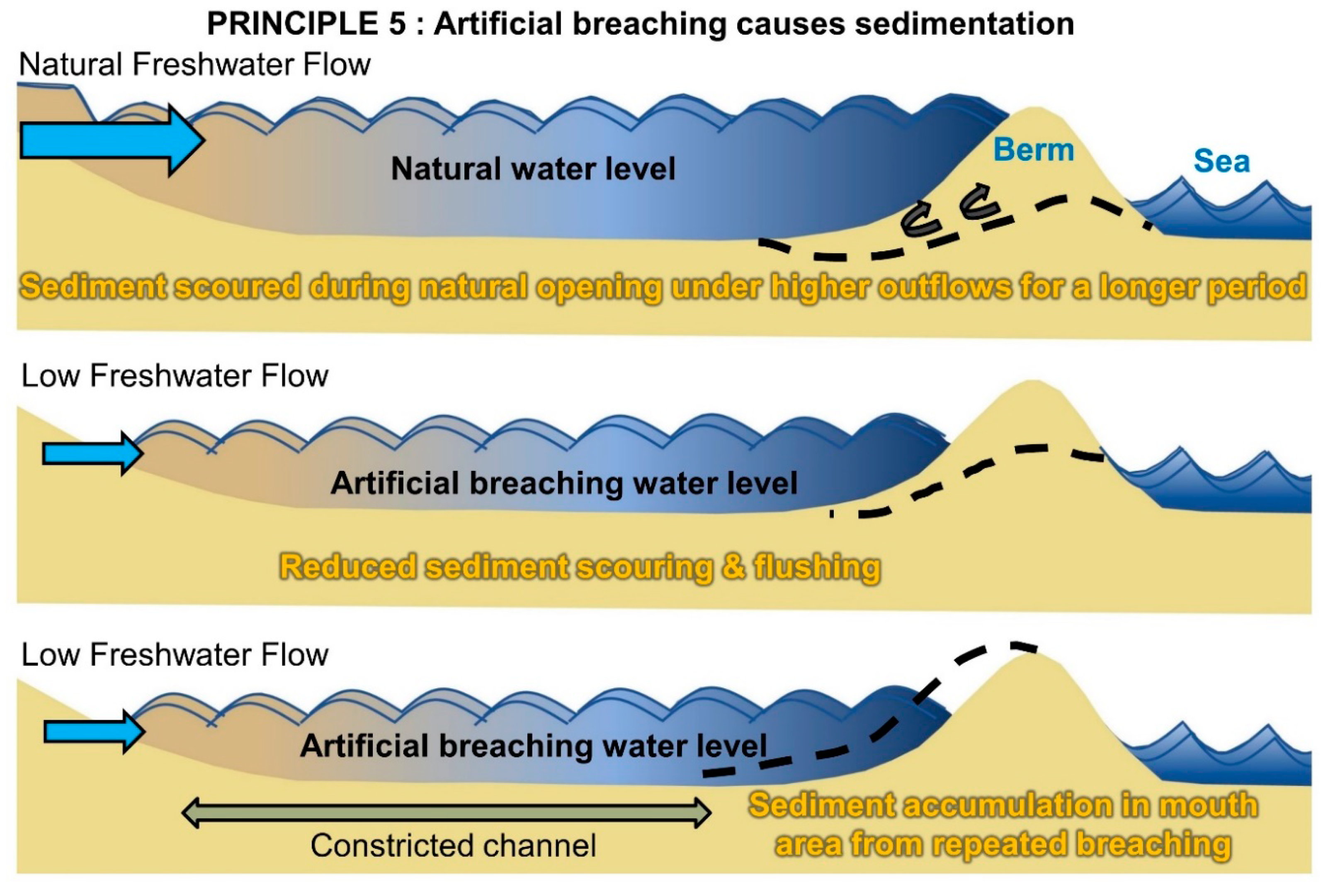 Water 12 01944 g009 Water 12 01944 g009