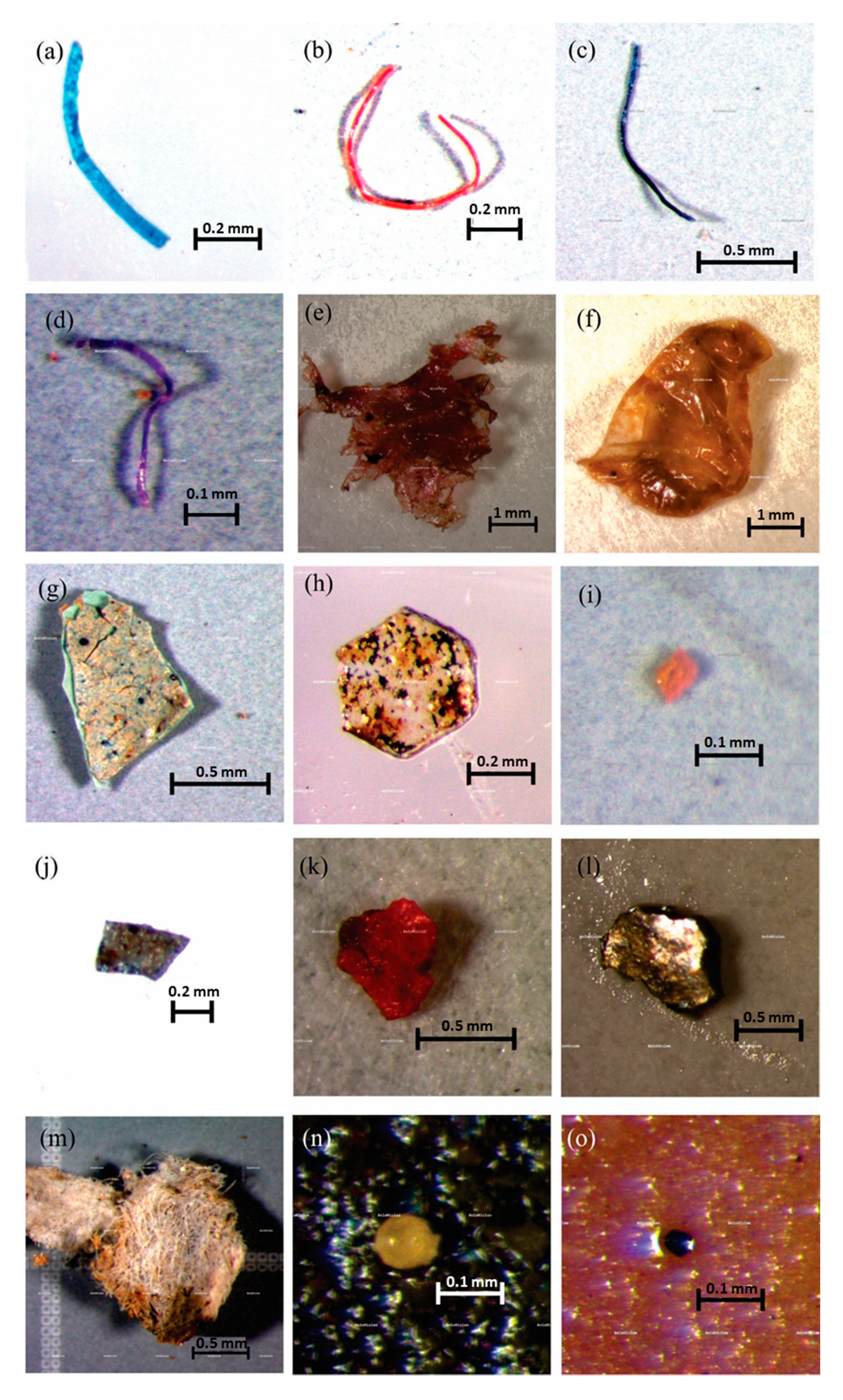 Water 12 01994 g004 Water 12 01994 g004