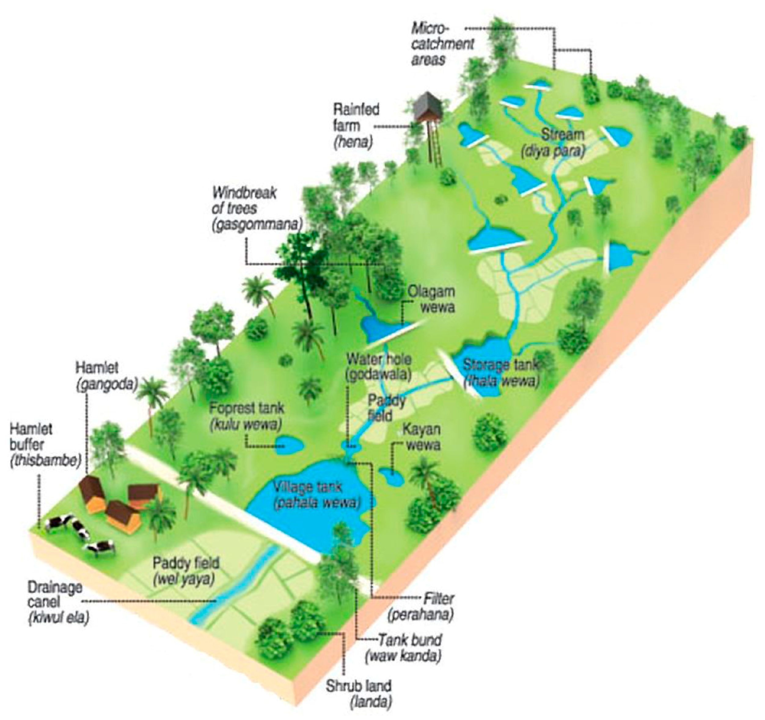 Water 12 02043 g002 Water 12 02043 g002