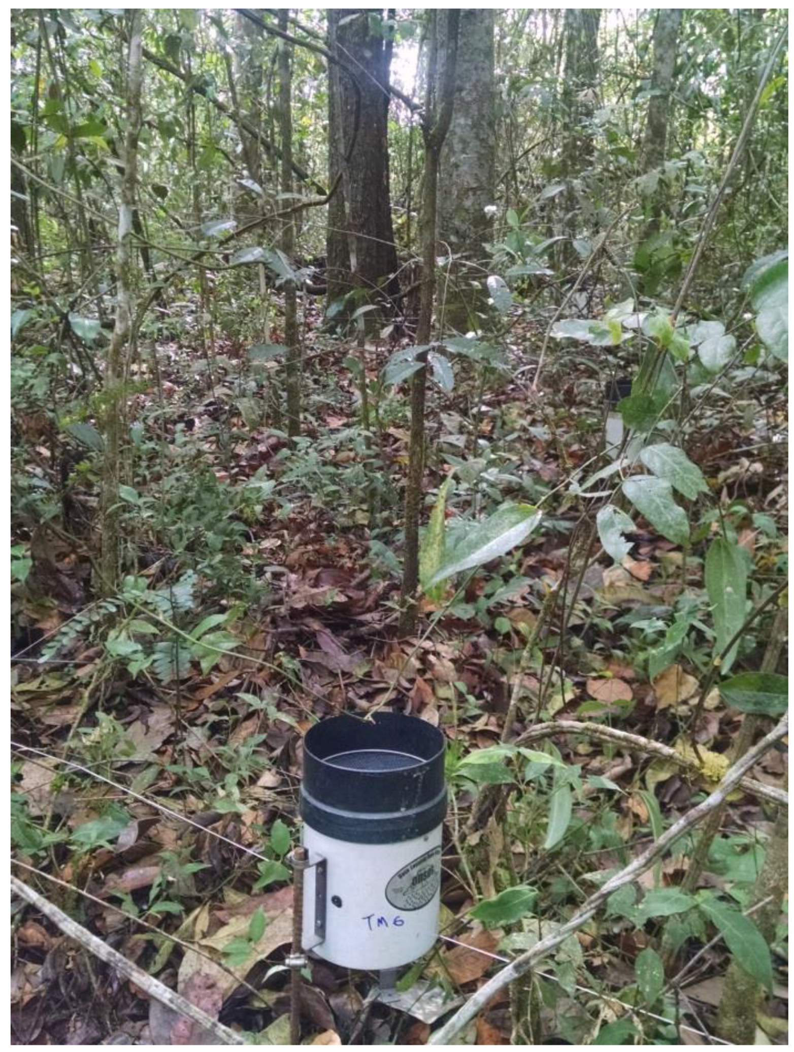 Water 12 02128 g002 Water 12 02128 g002