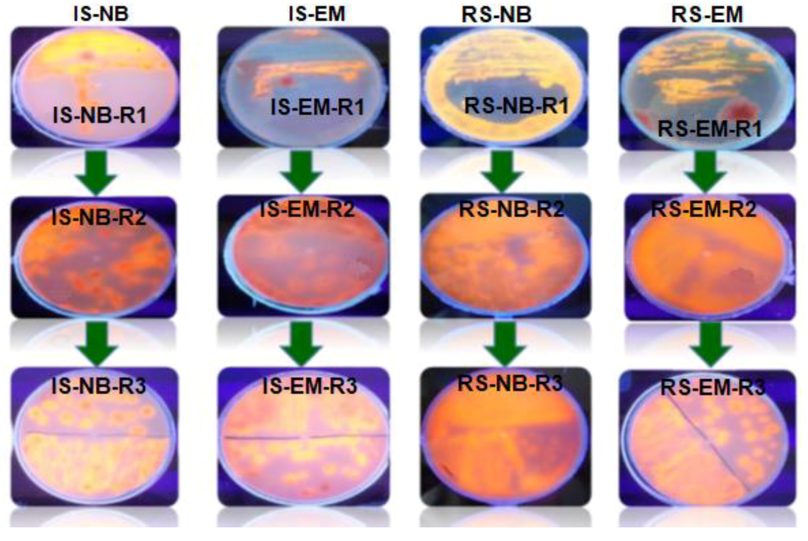 Water 12 02172 g003 Water 12 02172 g003