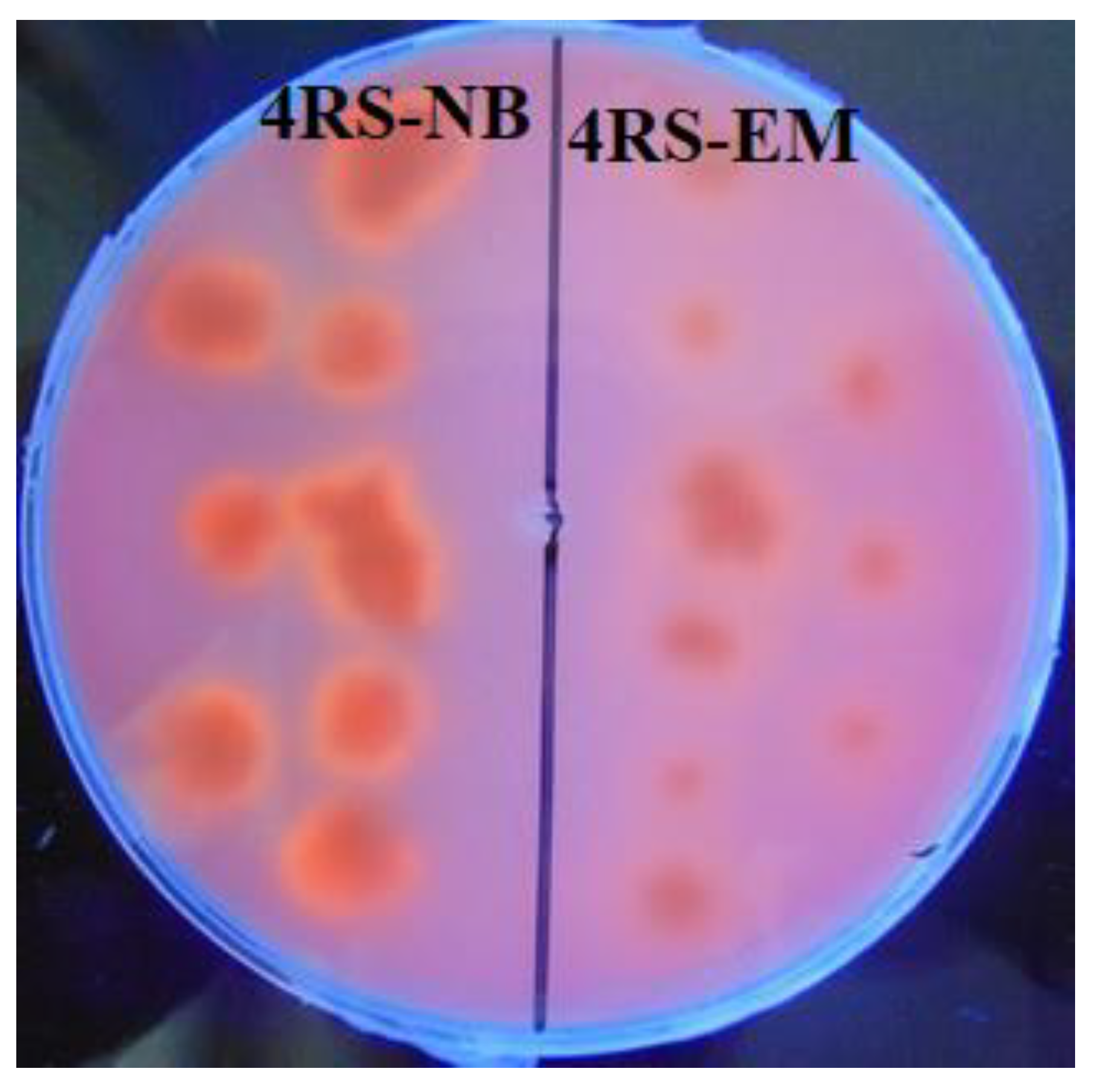 Water 12 02172 g004 Water 12 02172 g004