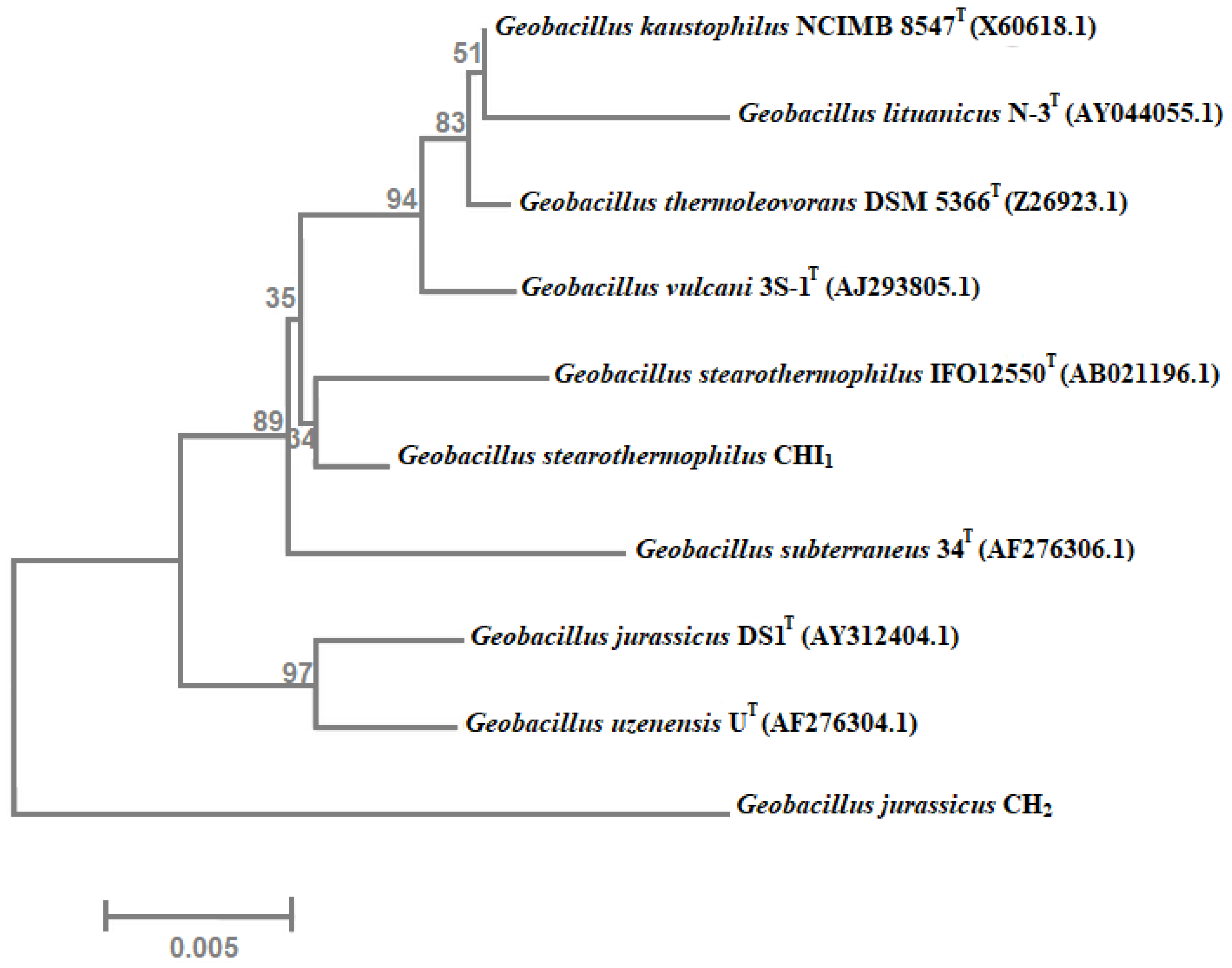 Water 12 02172 g005 Water 12 02172 g005