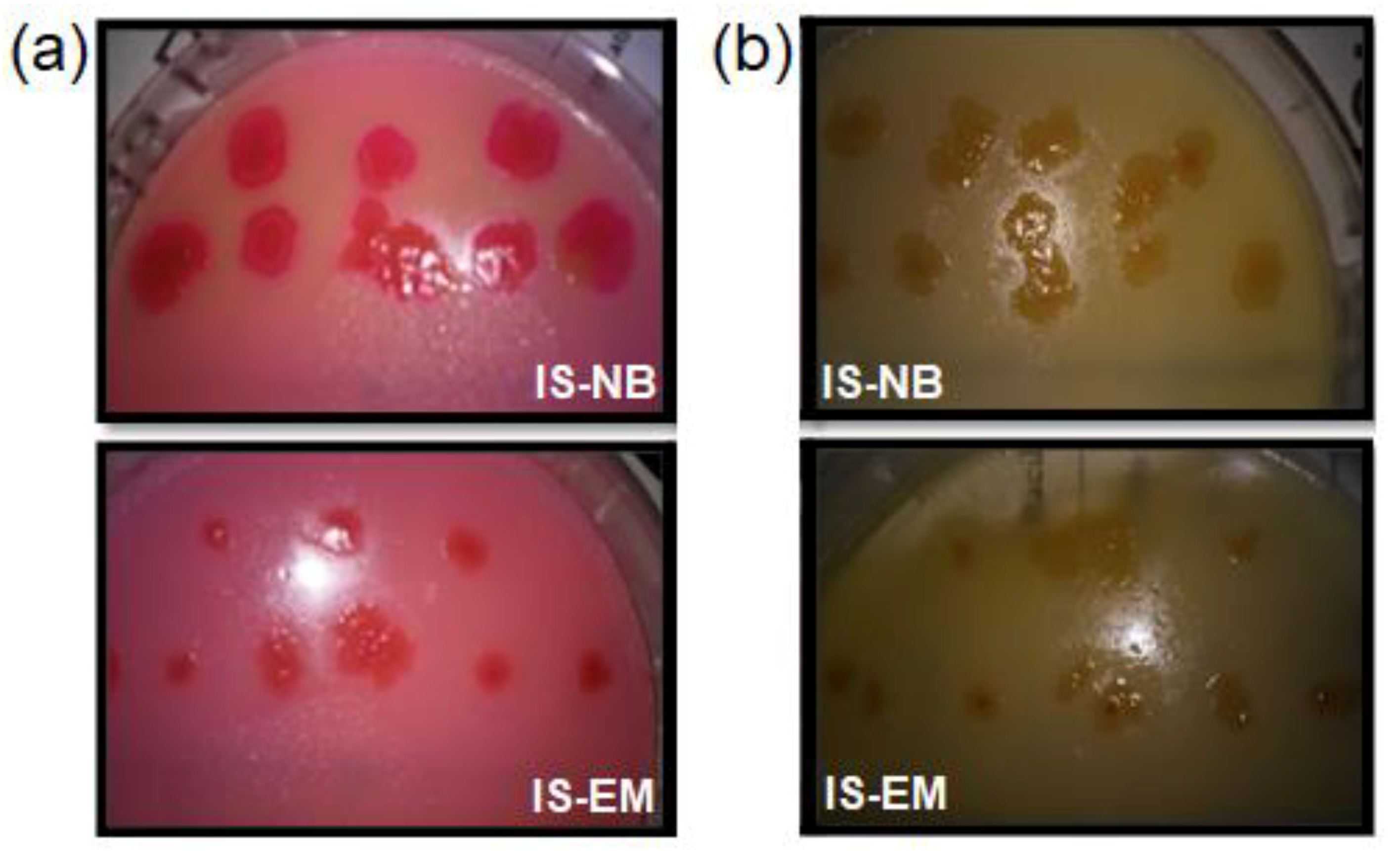 Water 12 02172 g006 Water 12 02172 g006