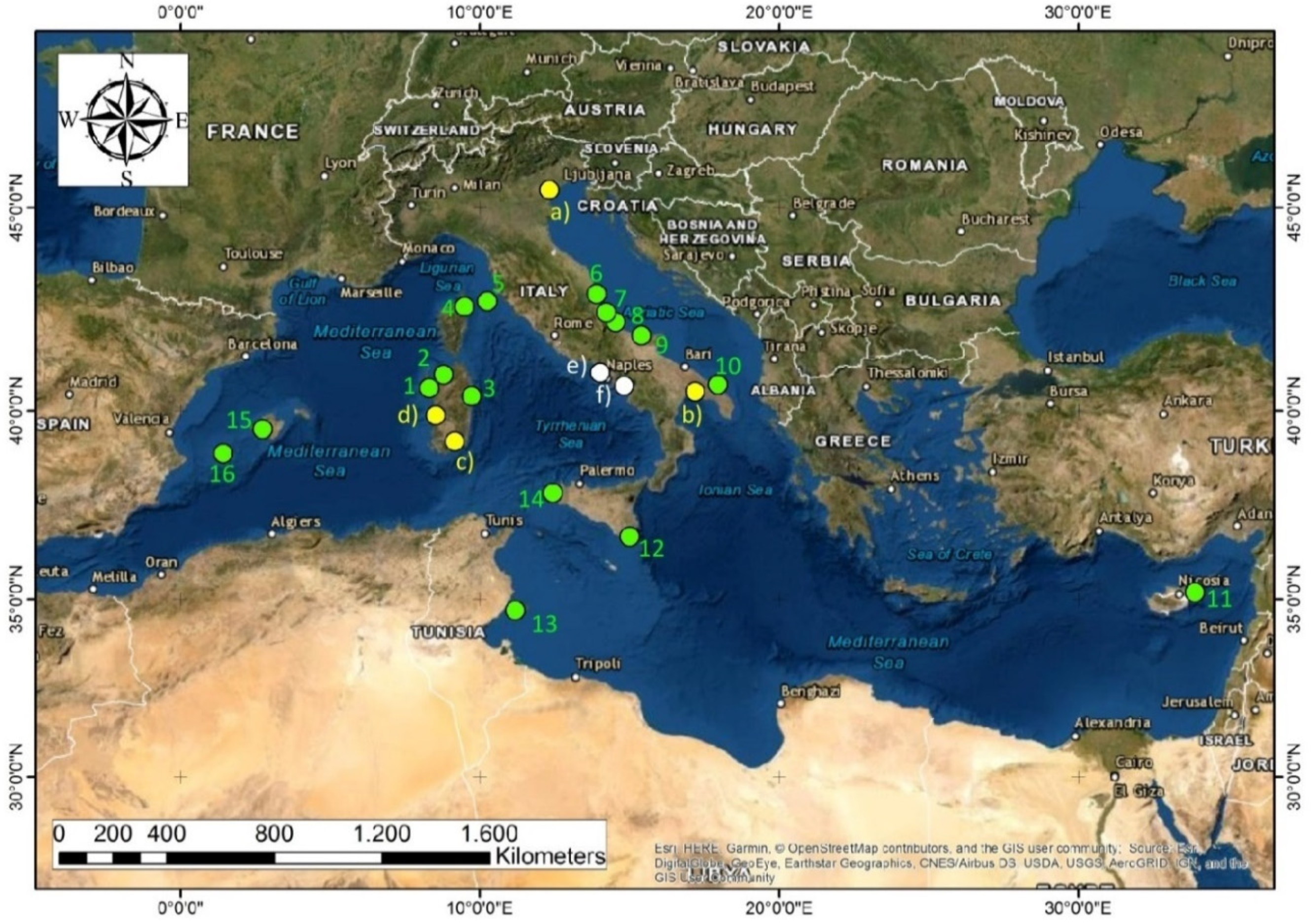 Mediterranean Sea - an overview