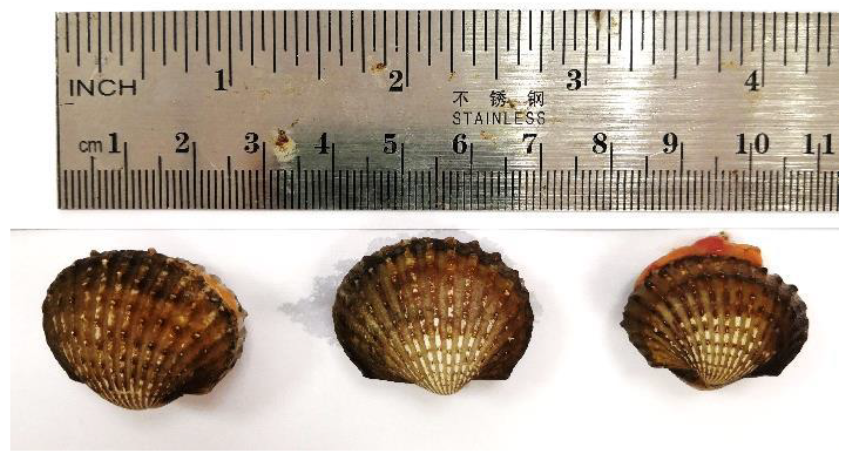 Water 12 02197 g001 Water 12 02197 g001