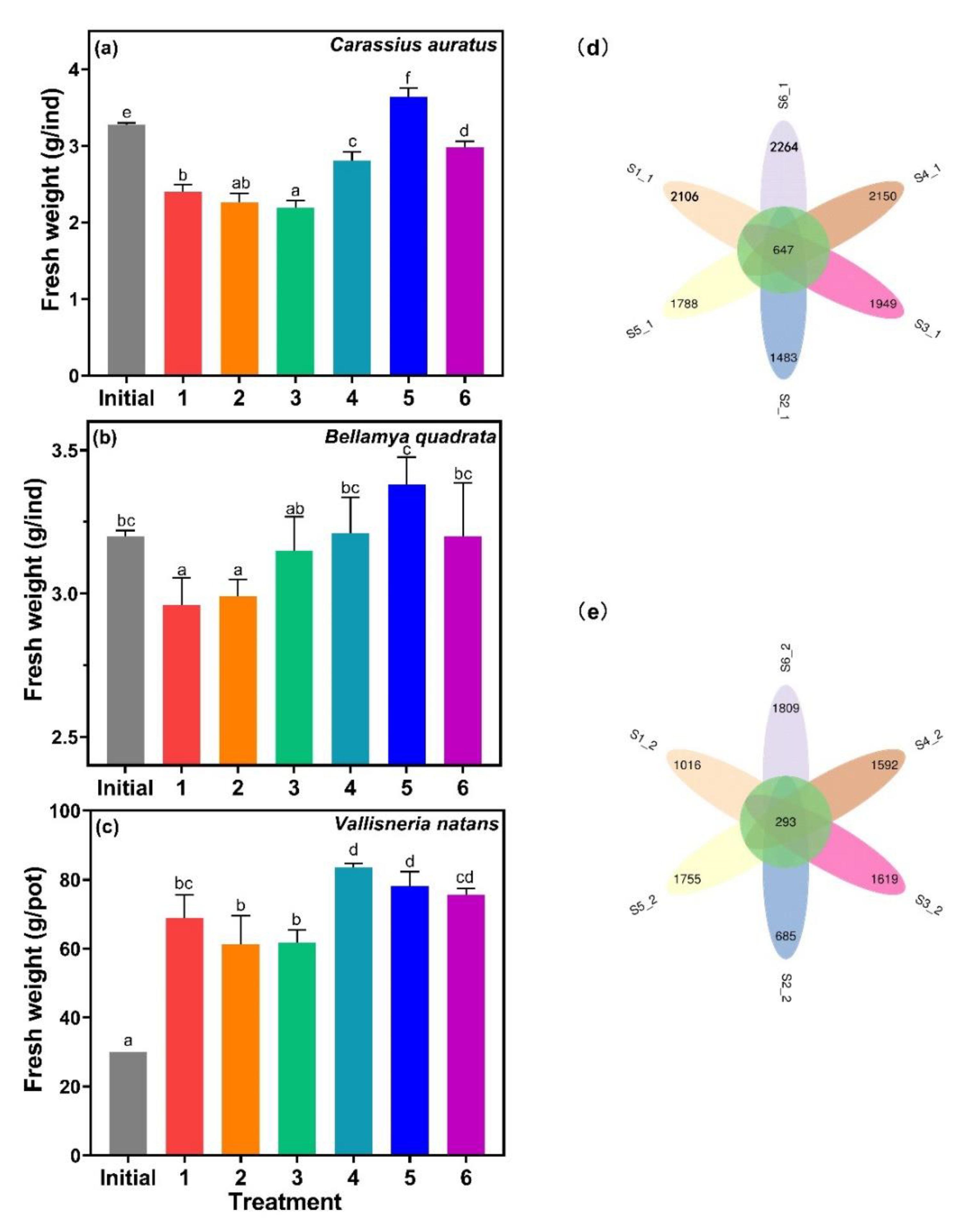 Water 12 02265 g007 Water 12 02265 g007