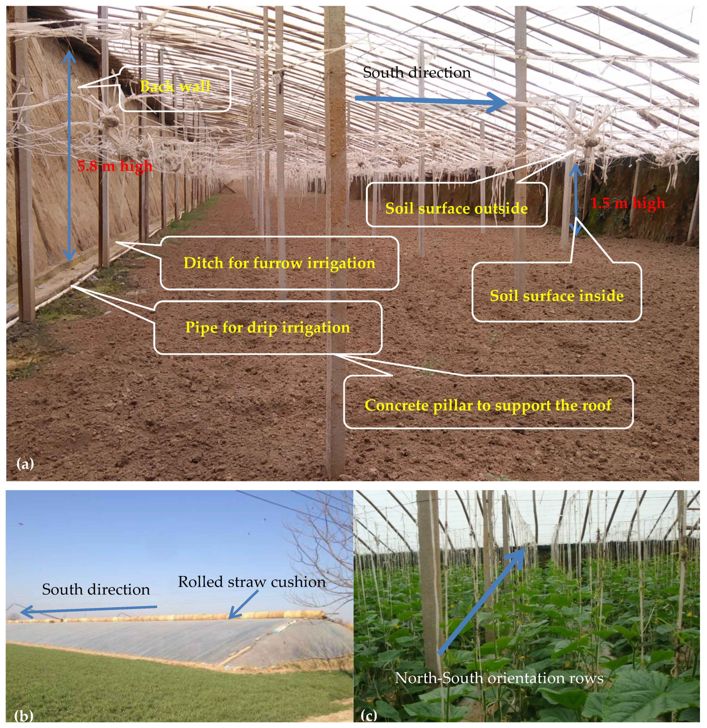 Water 12 02275 g001 Water 12 02275 g001