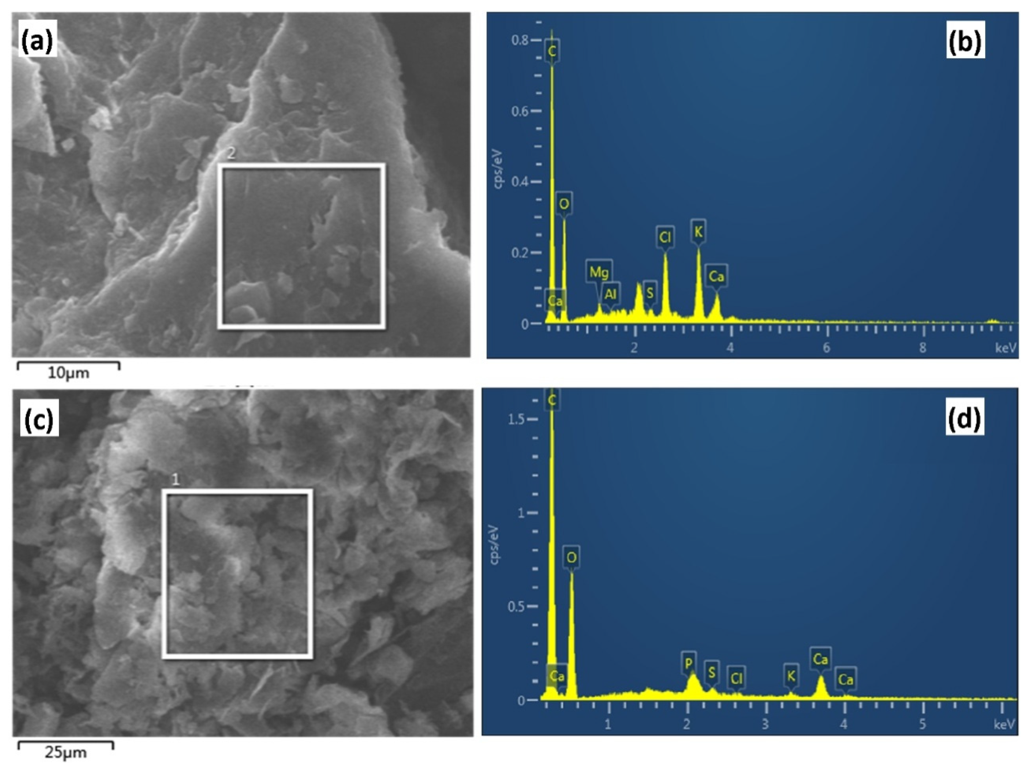 Water 12 02381 g002 Water 12 02381 g002