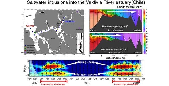 Water Free Full Text Tidally Forced Saltwater Intrusions Might Impact The Quality Of Drinking Water The Valdivia River 40 S Chile Estuary Case