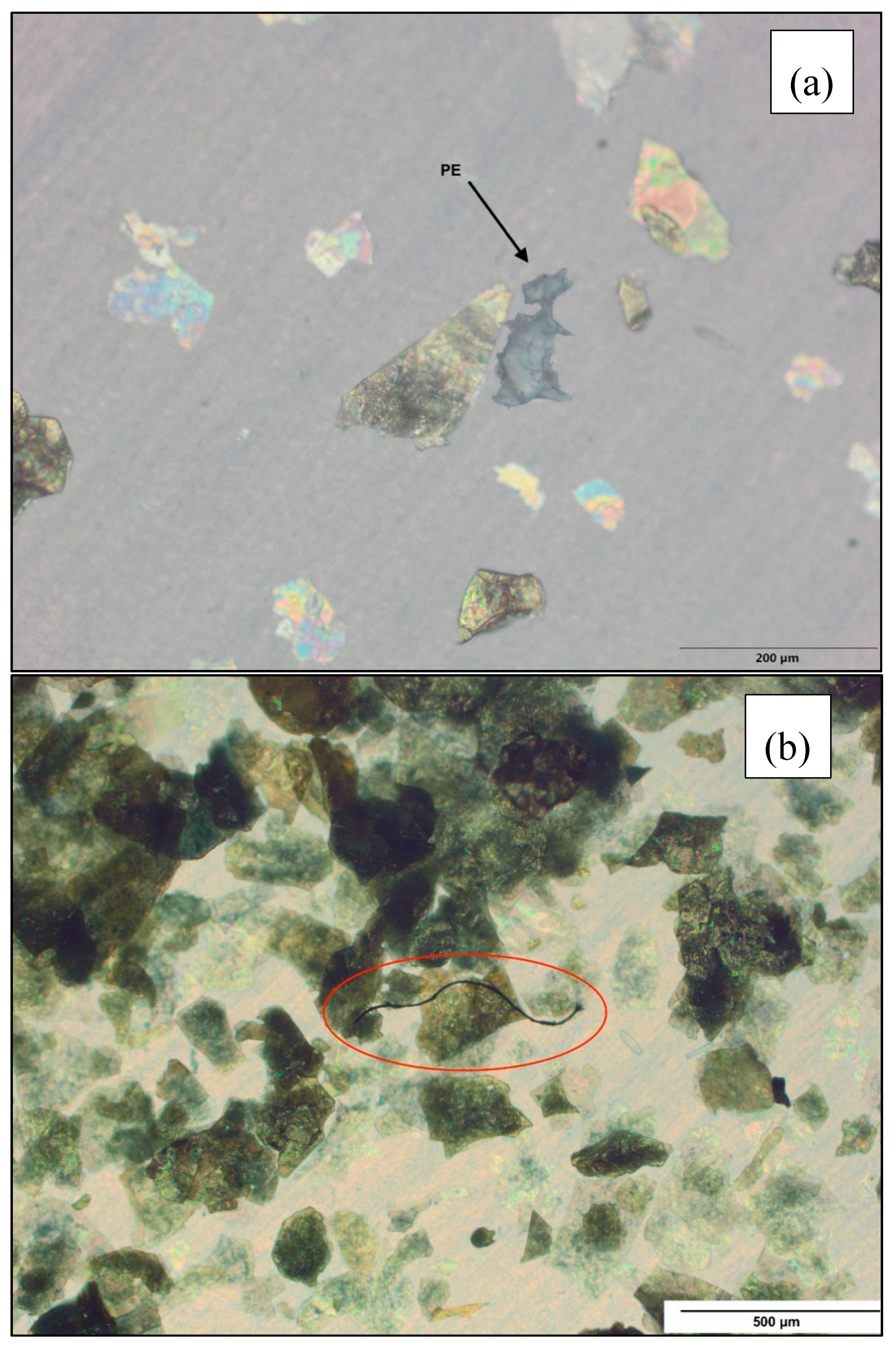 Water 12 02410 g007 Water 12 02410 g007