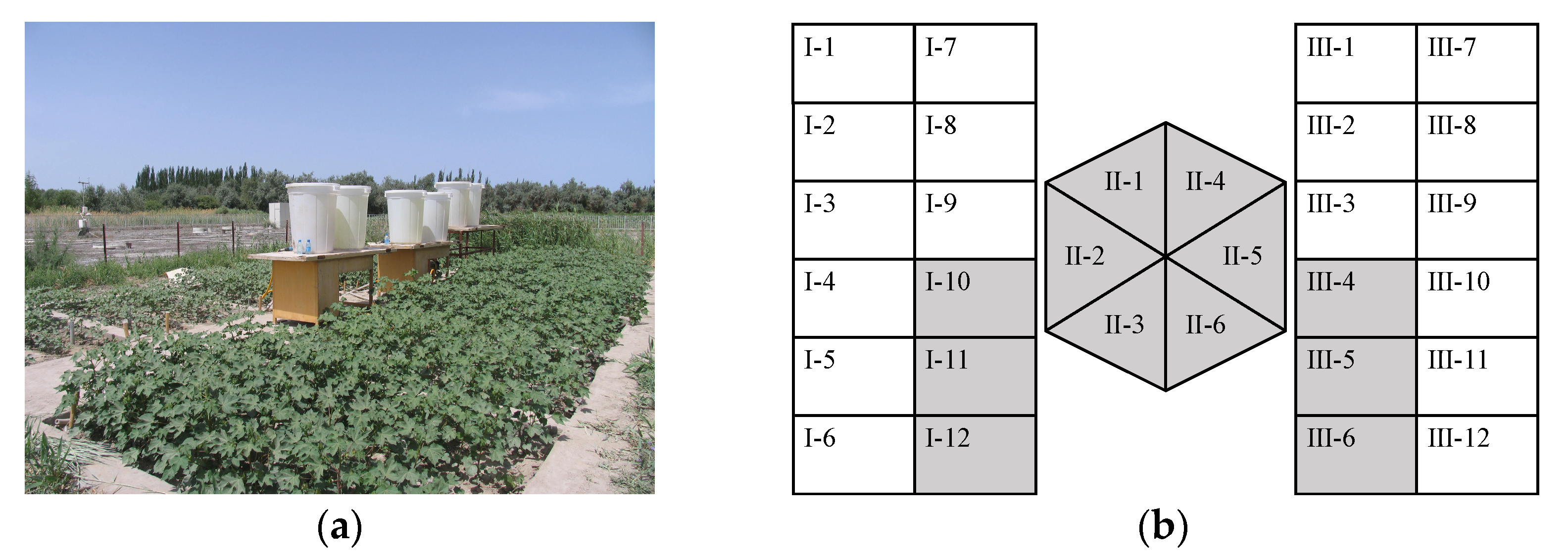 Water 12 02449 g002 Water 12 02449 g002