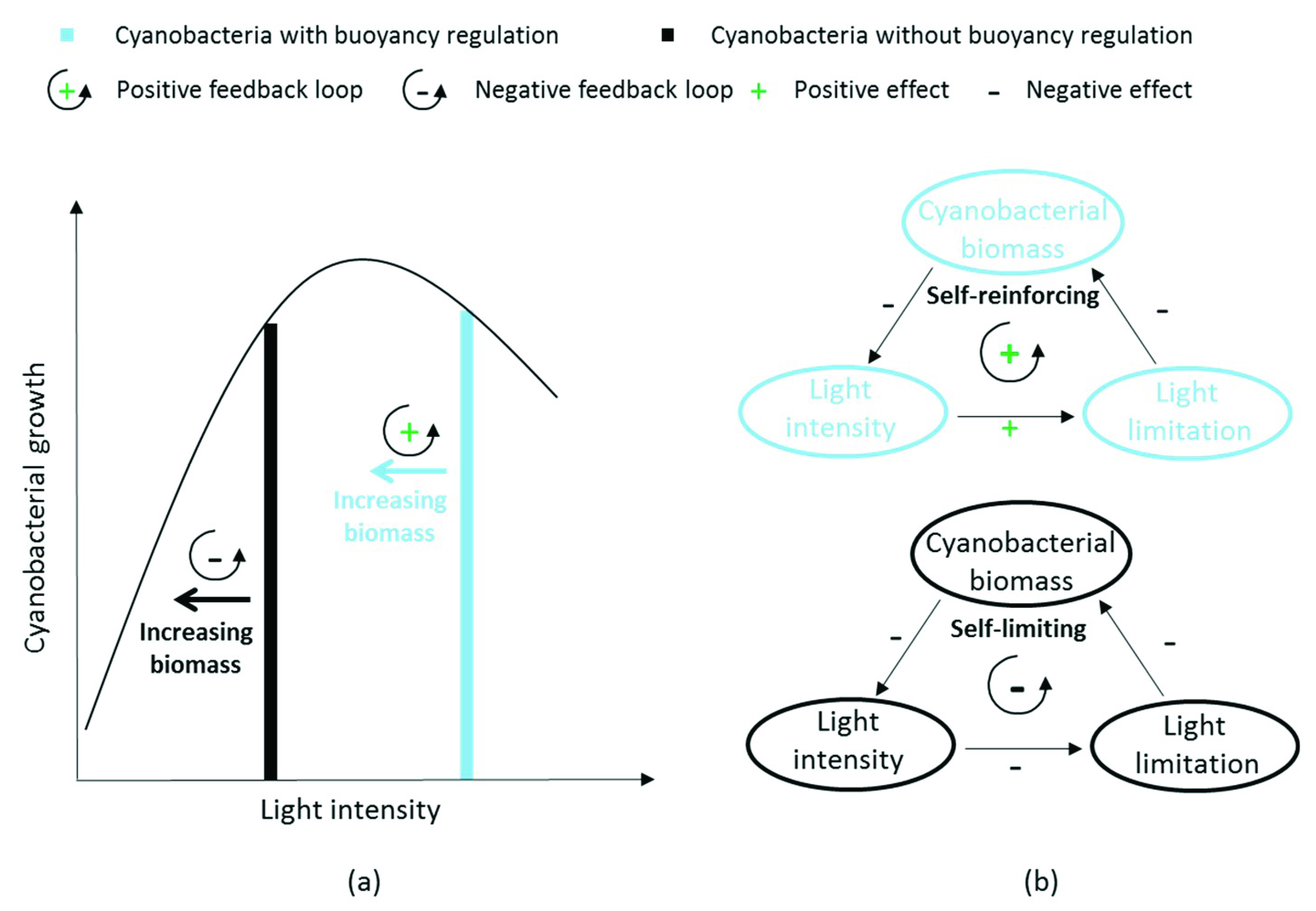 Water 12 02467 g004 Water 12 02467 g004