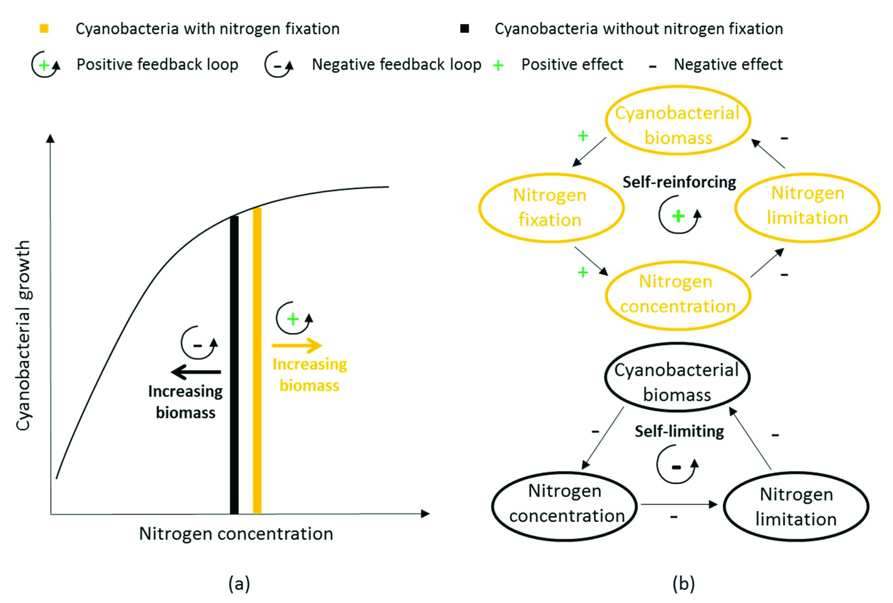 Water 12 02467 g005 Water 12 02467 g005