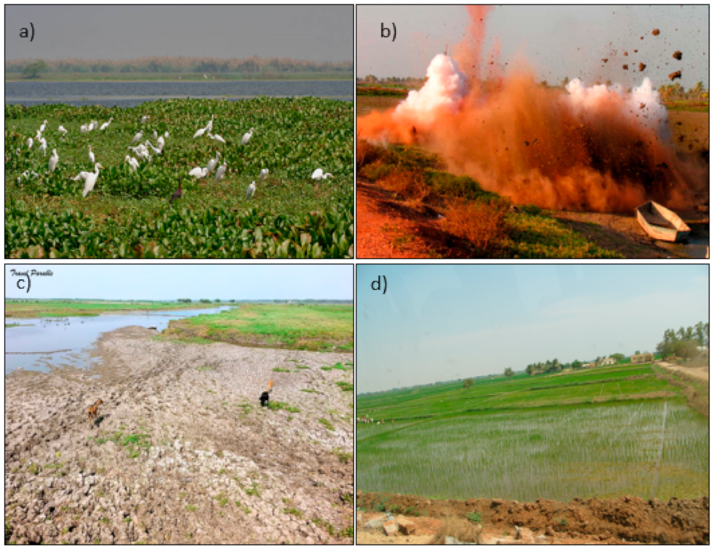 Water 12 02493 g002 Water 12 02493 g002