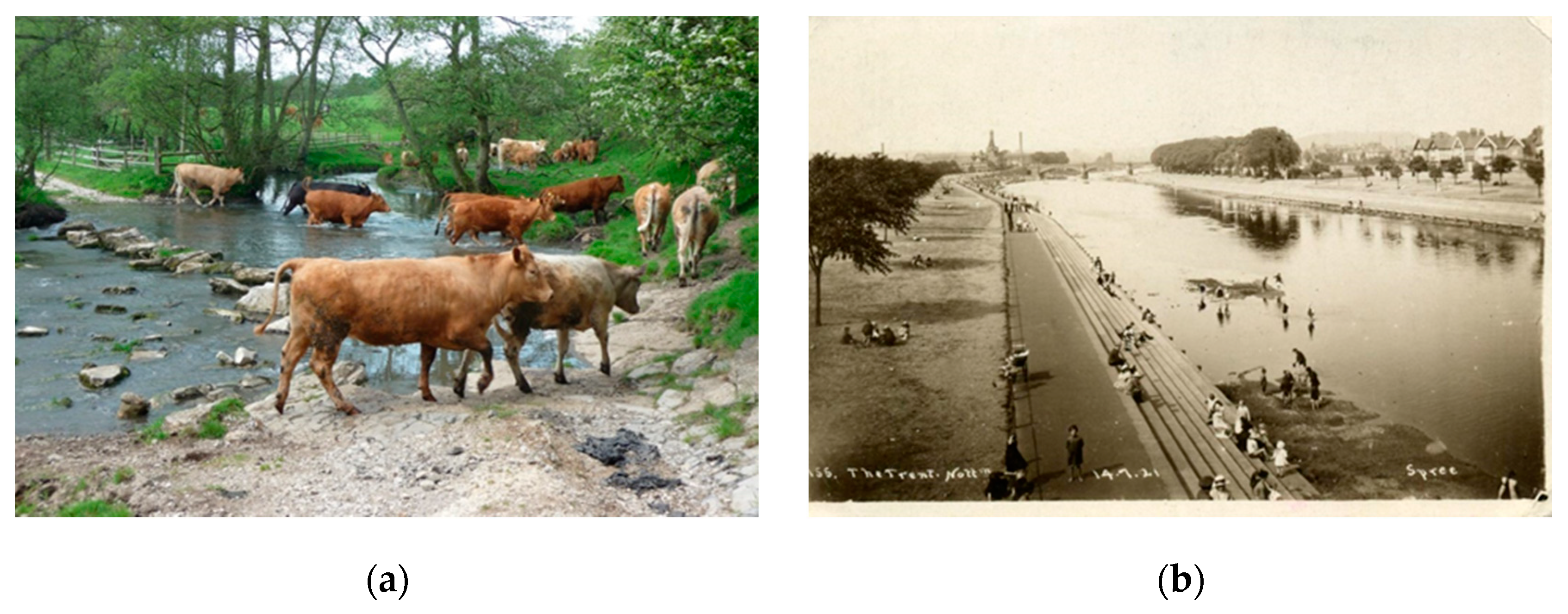 Water 12 02510 g008 Water 12 02510 g008