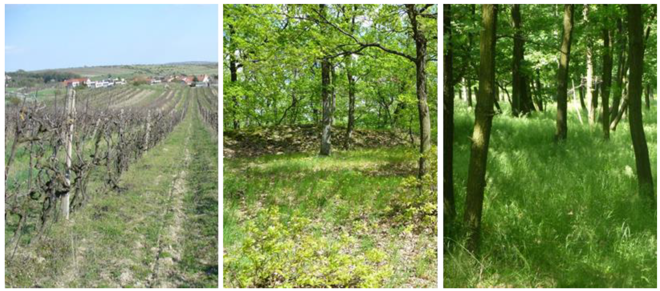 Water 12 02550 g001 Water 12 02550 g001