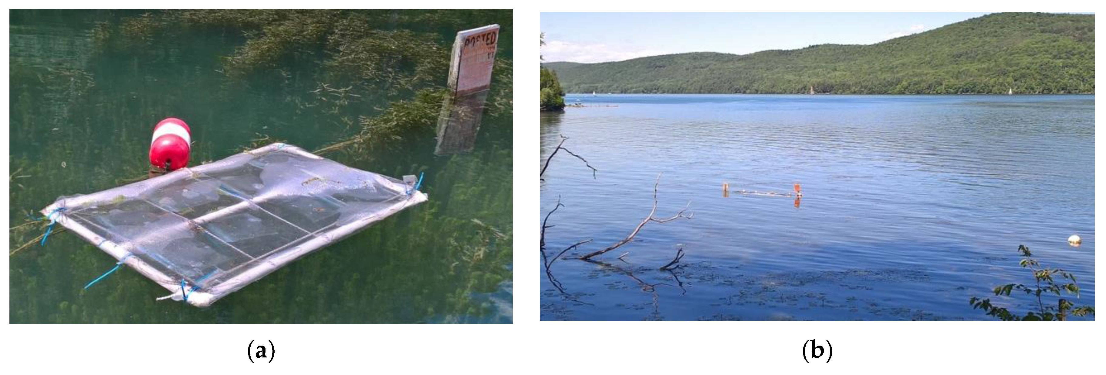 Water 12 02650 g001 Water 12 02650 g001