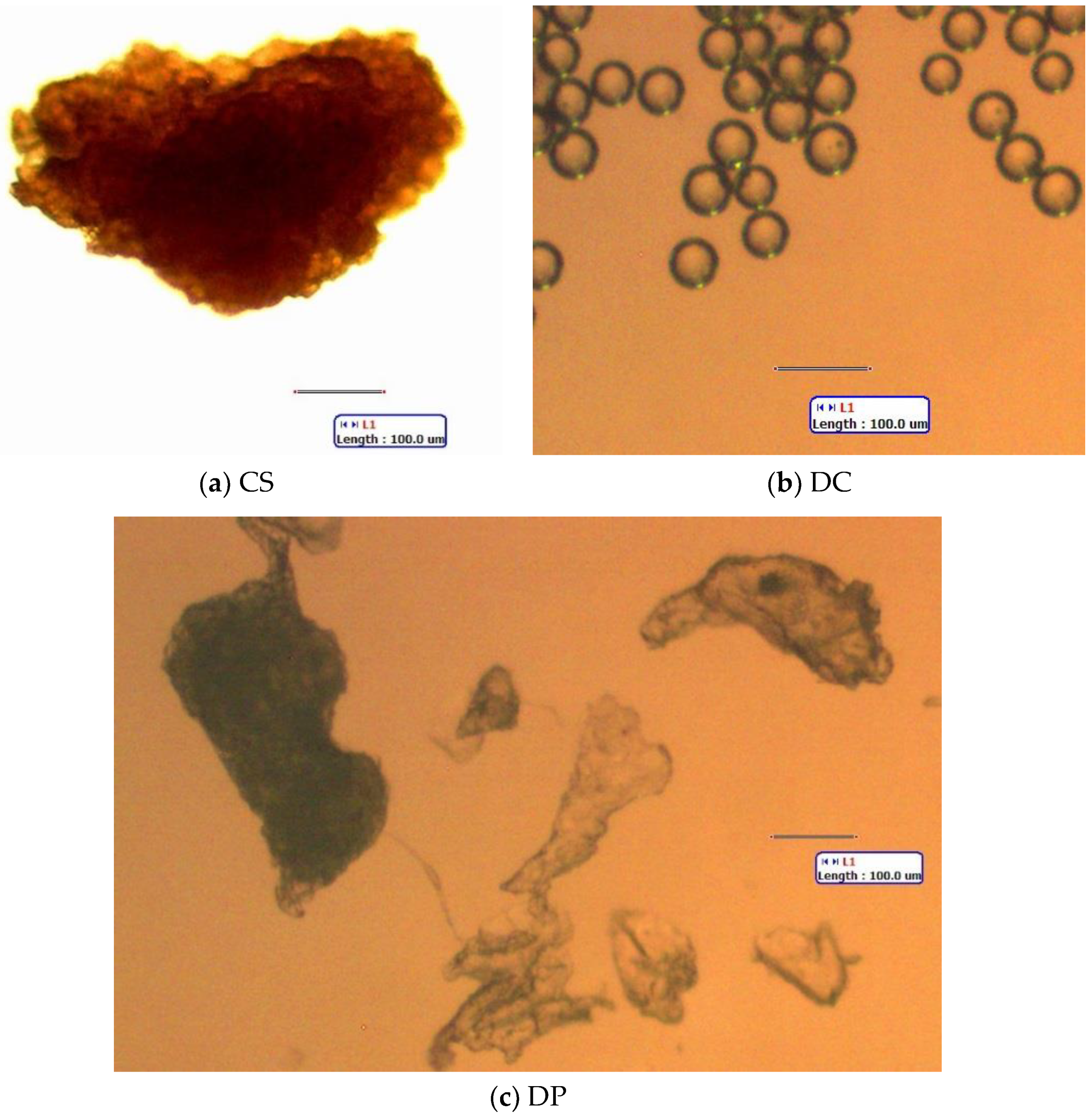 Water 12 02650 g002 Water 12 02650 g002