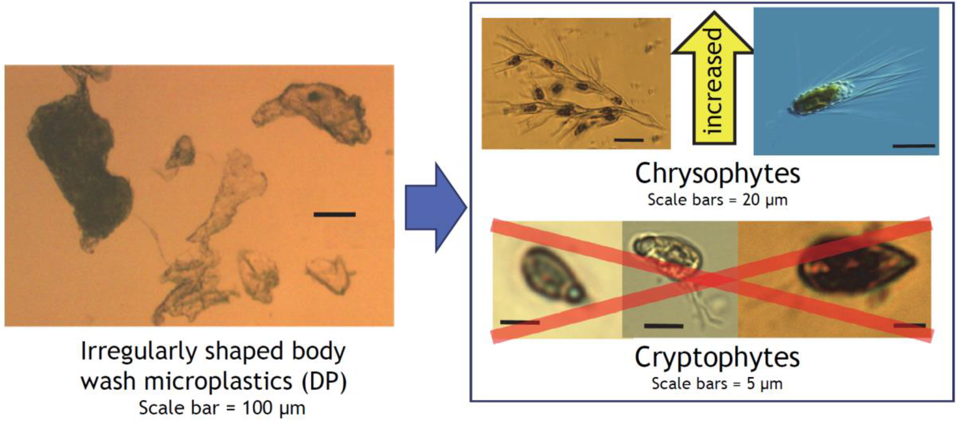 Water 12 02650 g007 Water 12 02650 g007