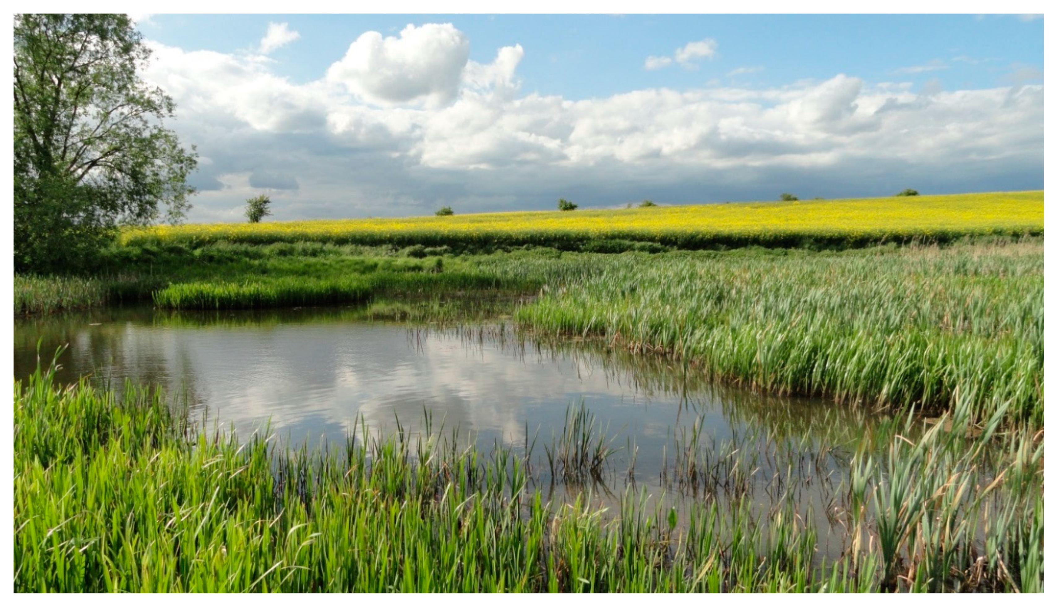 Water 12 02674 g005 Water 12 02674 g005