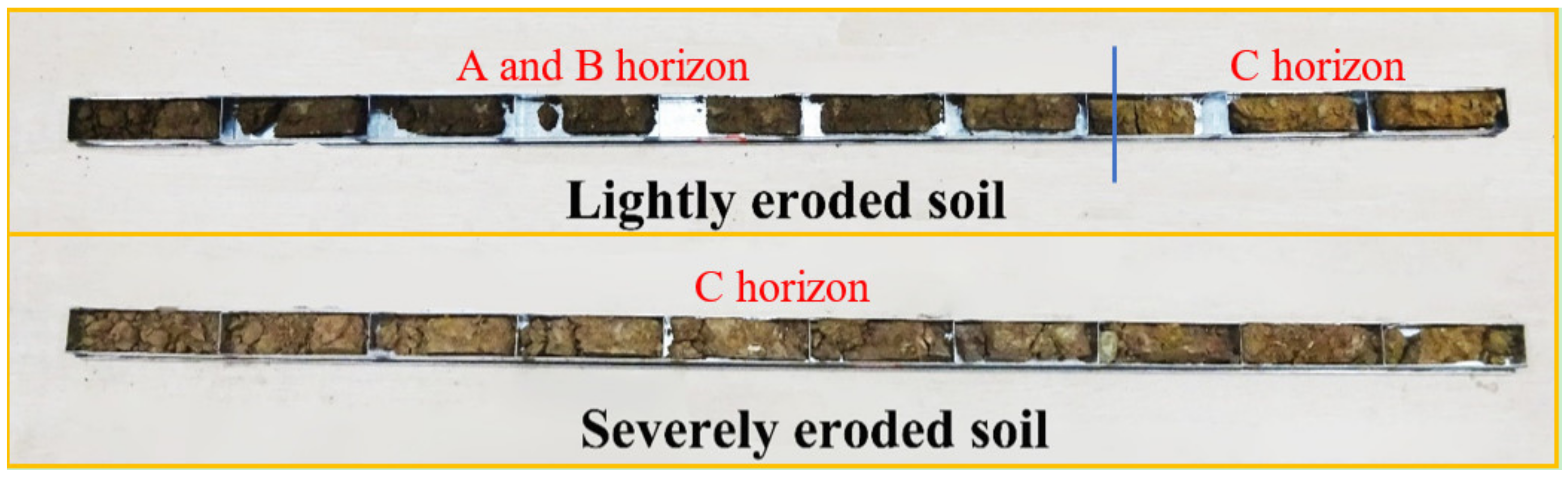 Water 12 02678 g001 Water 12 02678 g001