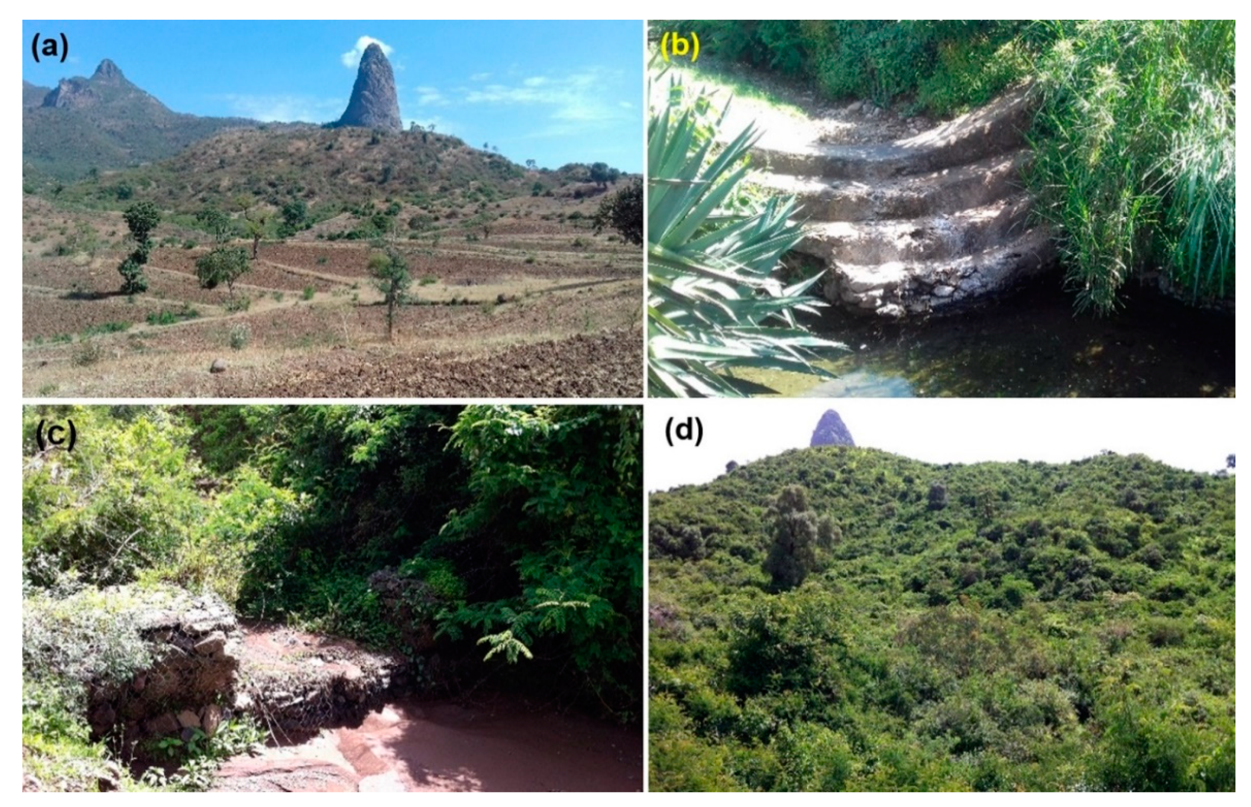 Water 12 02702 g002 Water 12 02702 g002