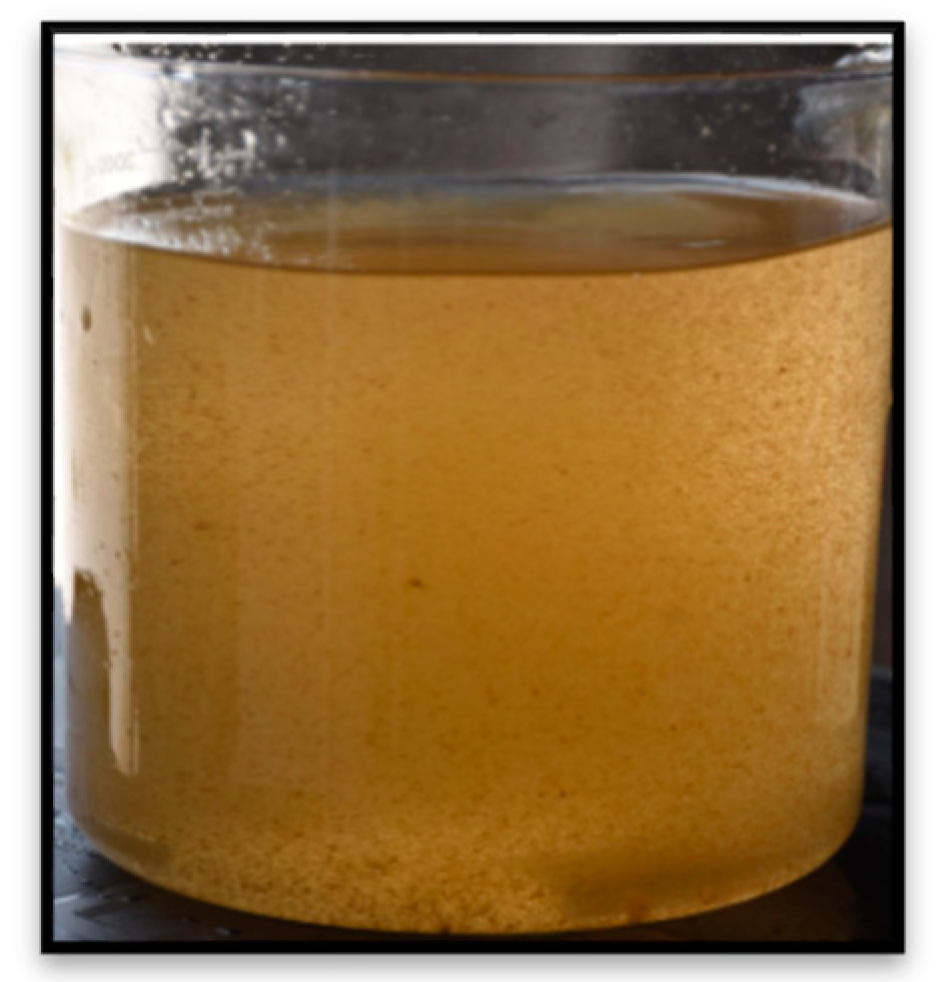 Water 12 02775 g001 Water 12 02775 g001