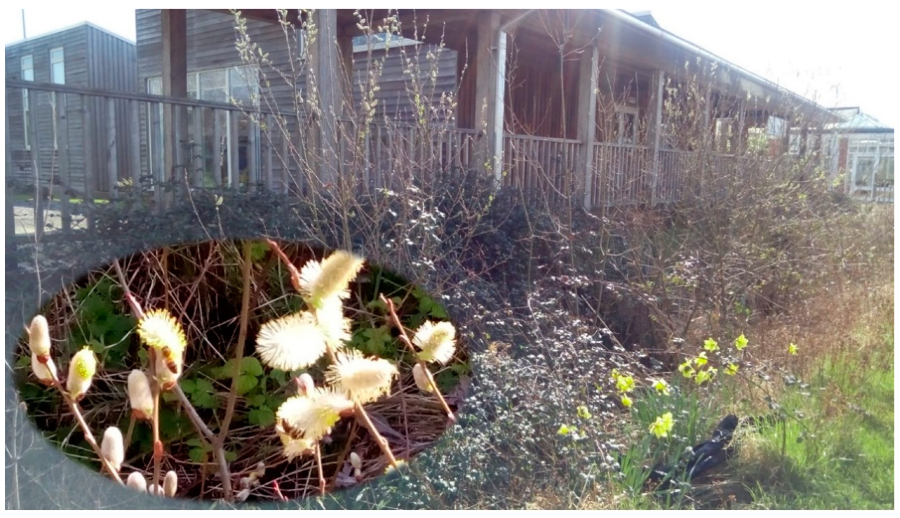 Water 12 02781 g006 Water 12 02781 g006