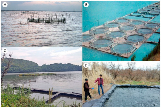 カップルズ('96台湾) WTS] Citizen Aqualand Duplex JP1040-09E- $250 Shipped to the