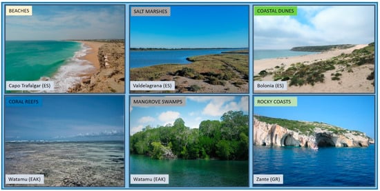 Water Free Full Text Coastal Dynamic And Evolution Case Studies From Different Sites Around The World Html