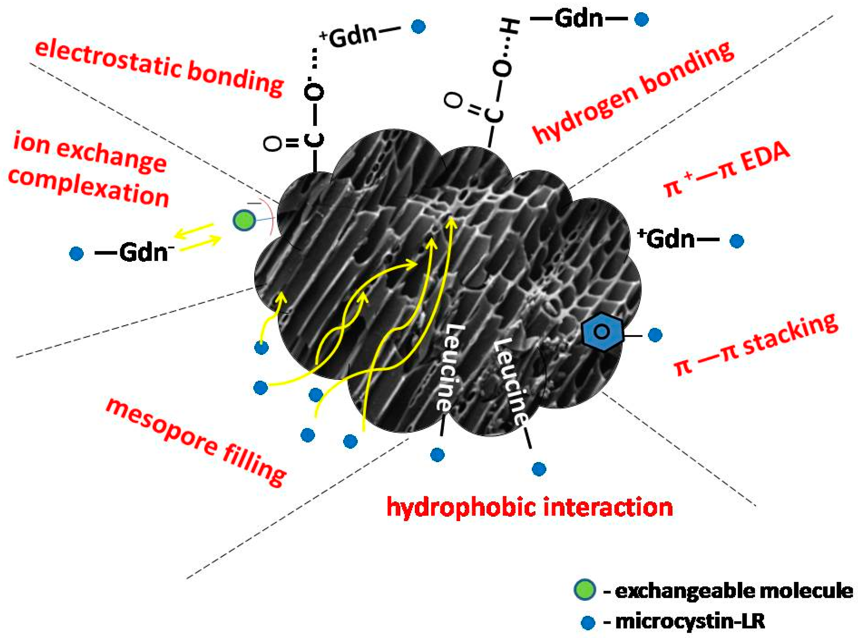 Water 12 02871 g003 Water 12 02871 g003
