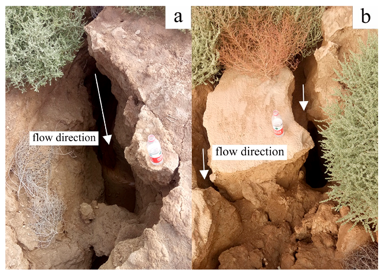 Water 12 02889 g009 Water 12 02889 g009