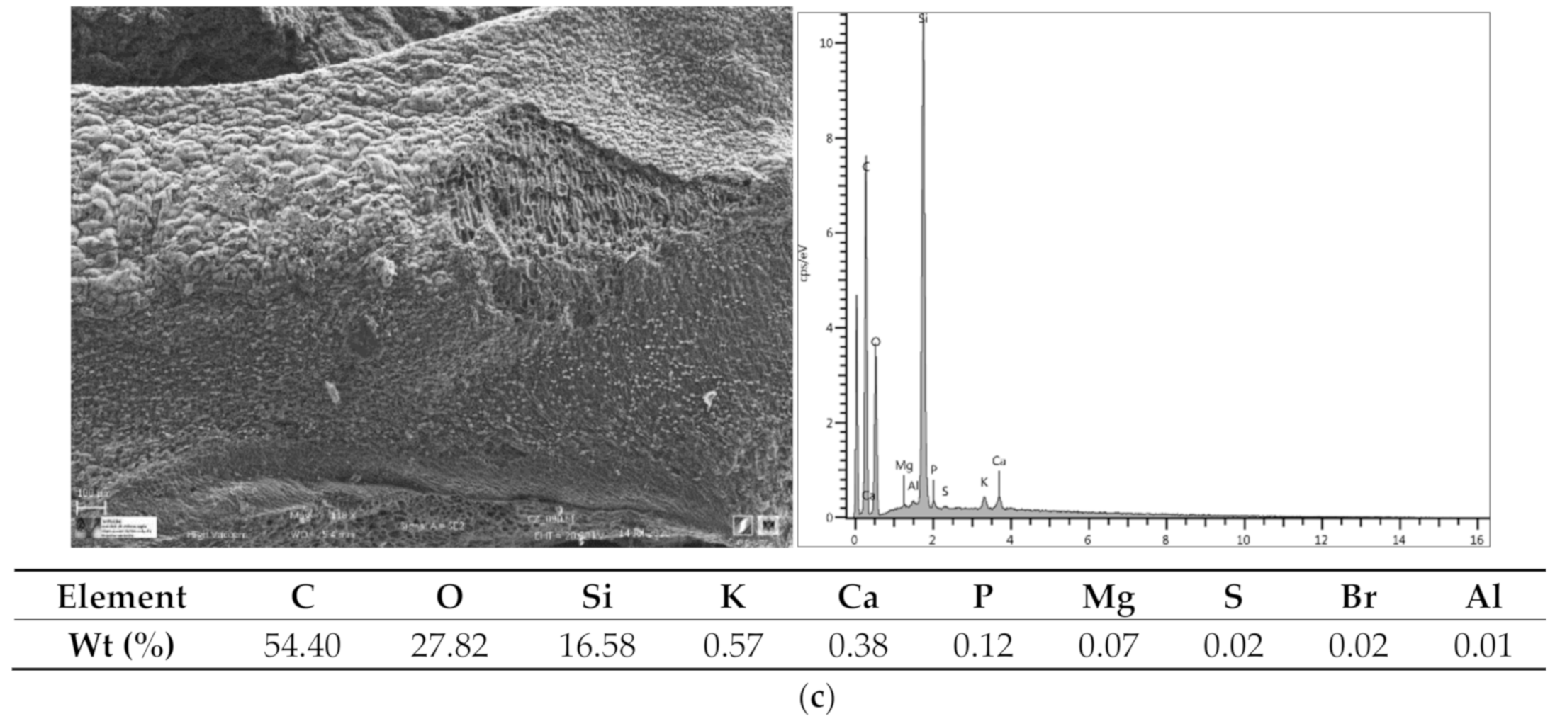 Water 12 02933 g002b